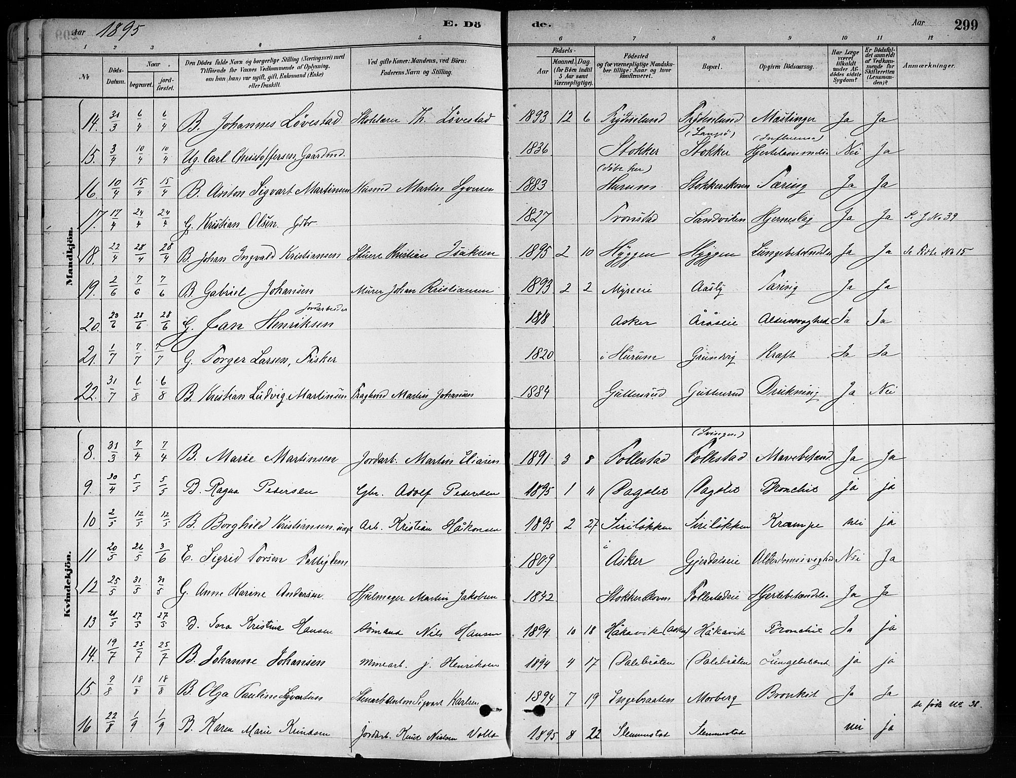 Røyken kirkebøker, AV/SAKO-A-241/F/Fa/L0008: Parish register (official) no. 8, 1880-1897, p. 299