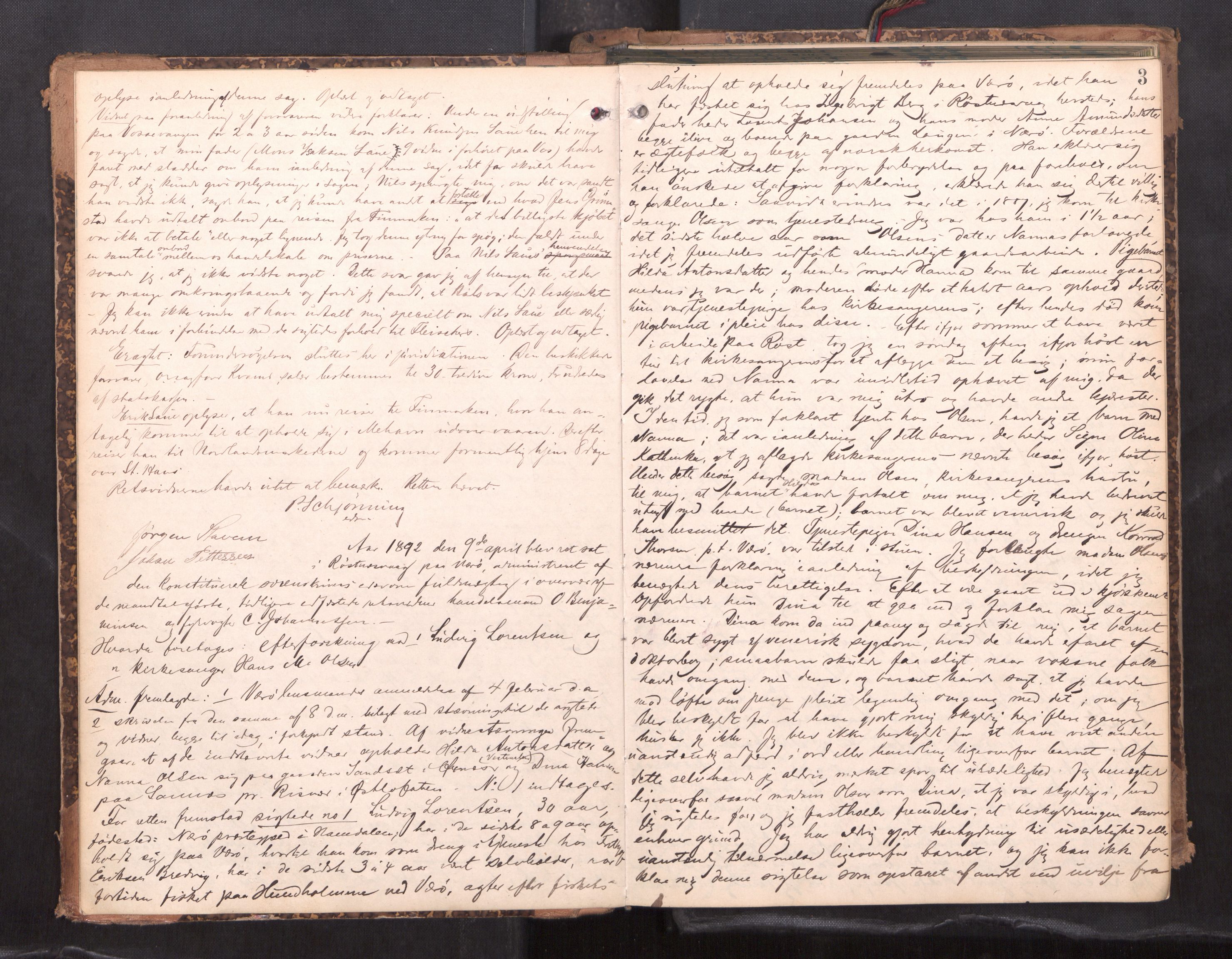Lofoten sorenskriveri, AV/SAT-A-0017/1/1/1B/L0008: Ekstrarettsprotokoll, 1892-1896, p. 2b-3a