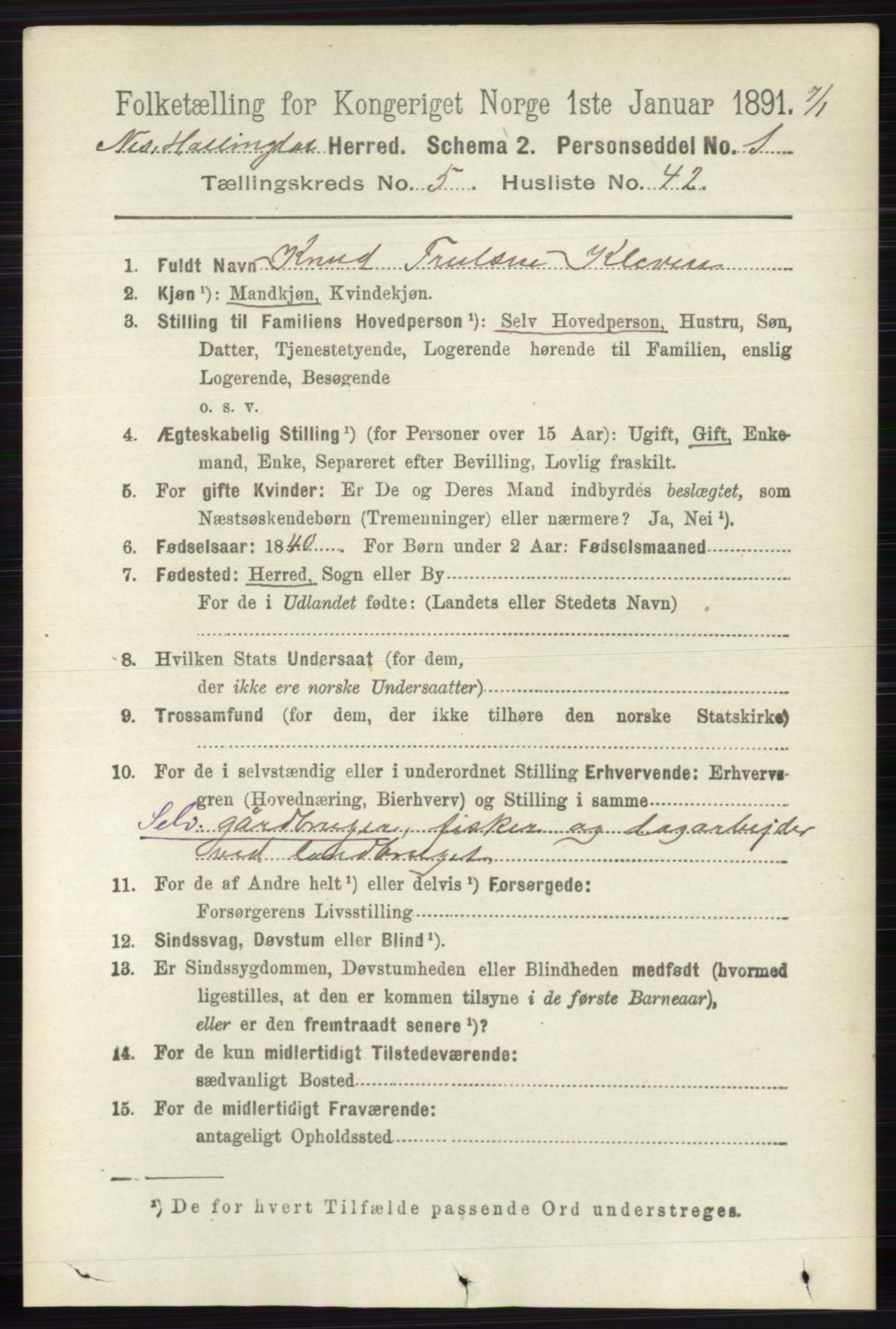 RA, 1891 census for 0616 Nes, 1891, p. 2860