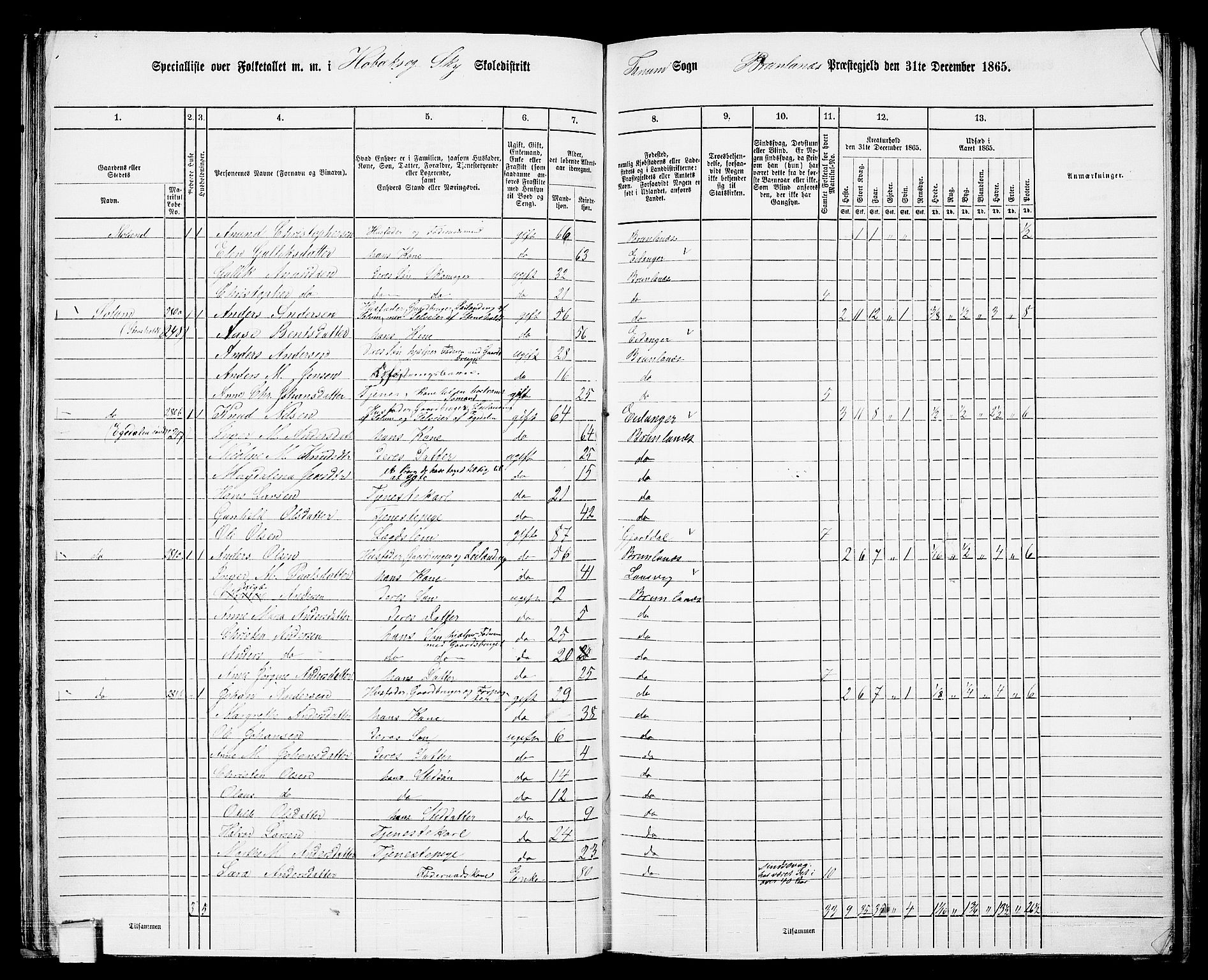 RA, 1865 census for Brunlanes, 1865, p. 45