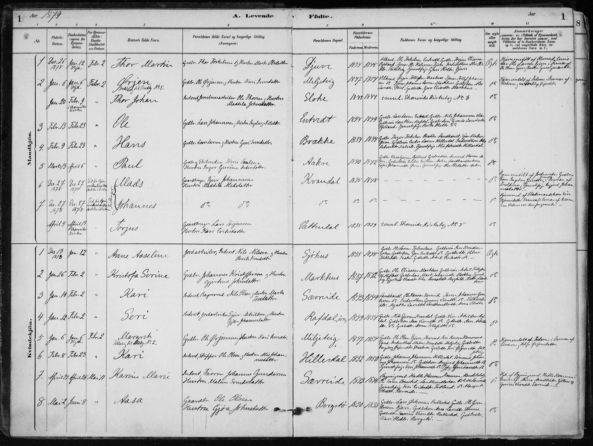 Skånevik sokneprestembete, AV/SAB-A-77801/H/Haa: Parish register (official) no. E  1, 1879-1901, p. 1