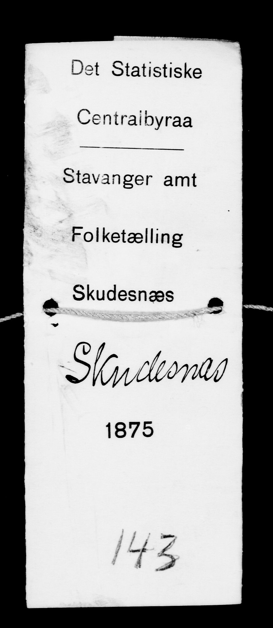 SAST, 1875 census for 1150L Skudenes/Falnes, Åkra og Ferkingstad, 1875, p. 706