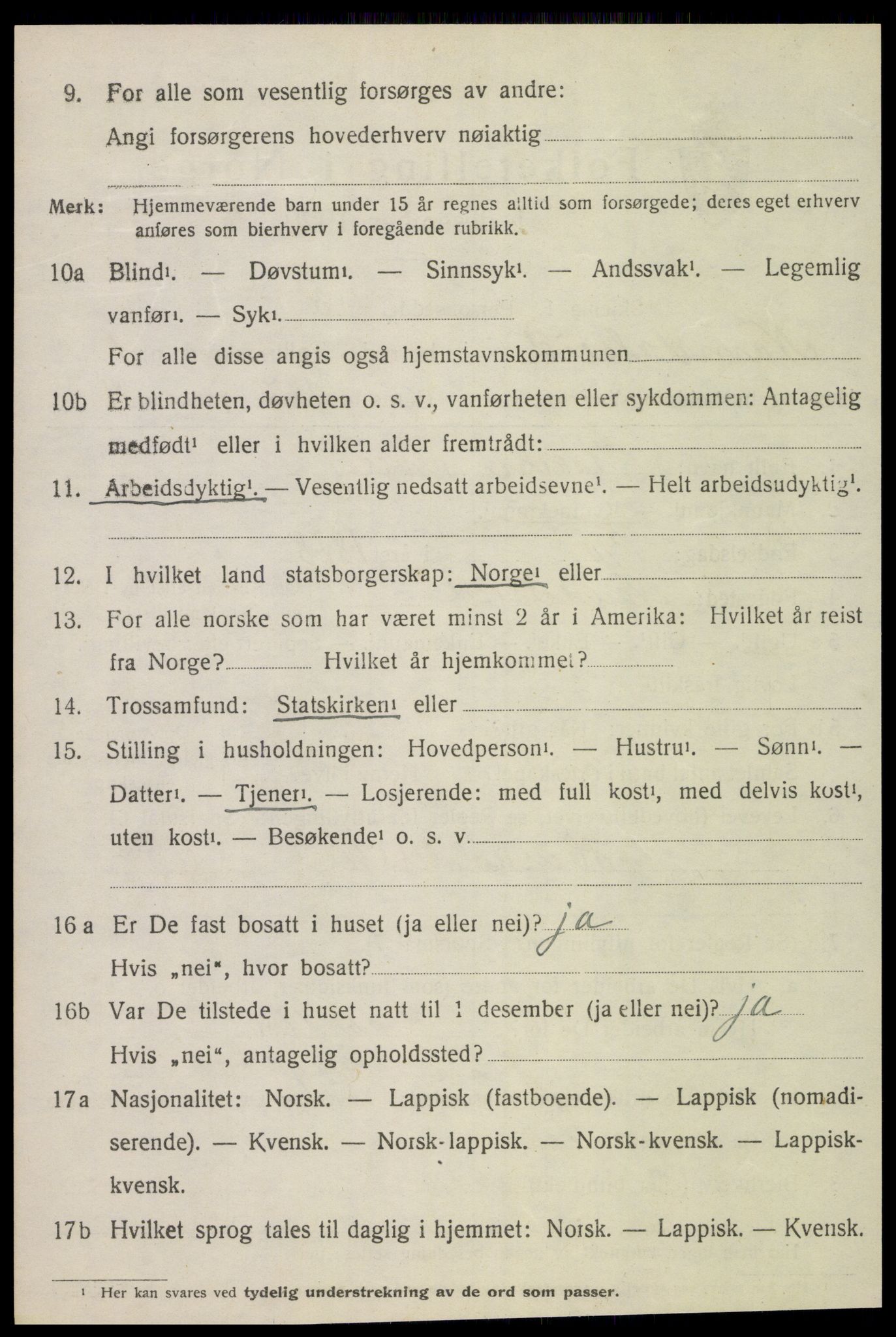 SAT, 1920 census for Namdalseid, 1920, p. 527