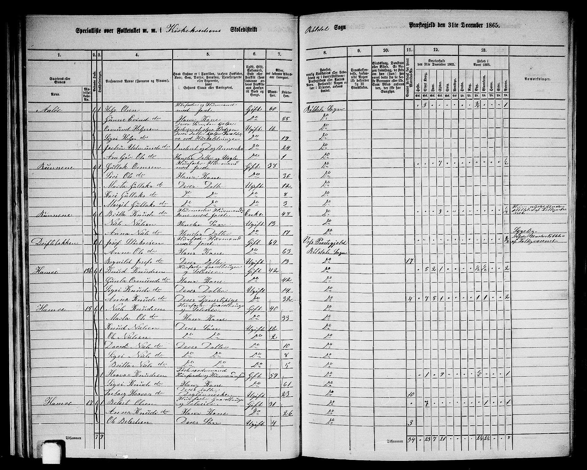 RA, 1865 census for Suldal, 1865, p. 154