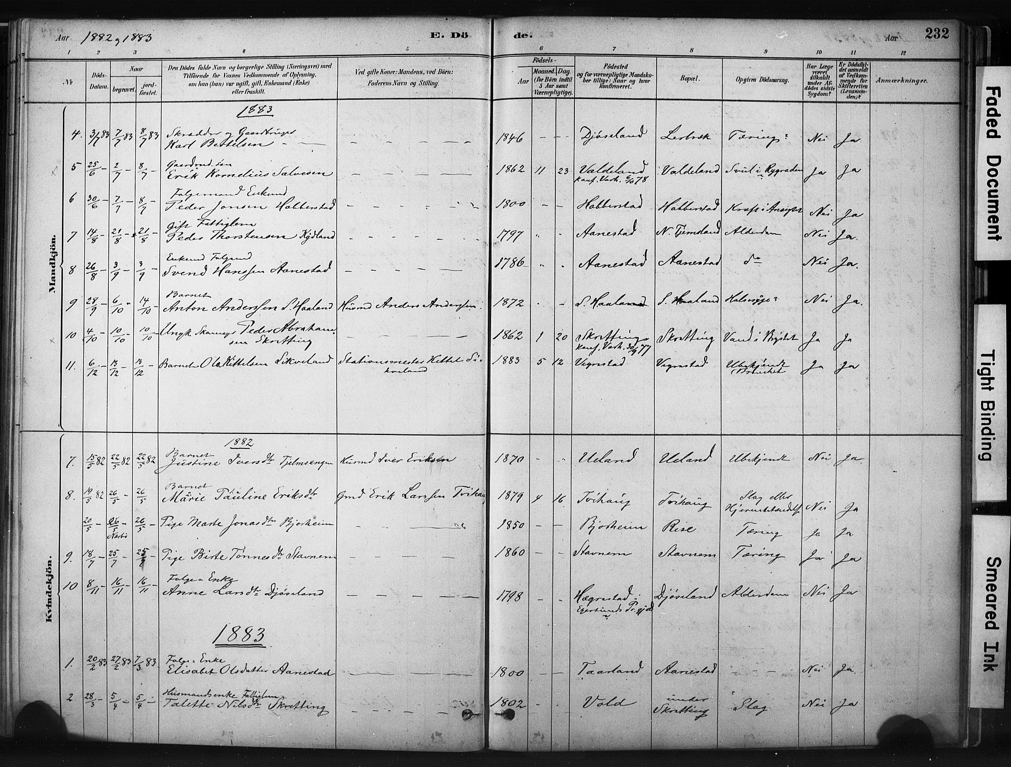 Hå sokneprestkontor, AV/SAST-A-101801/001/30BA/L0011: Parish register (official) no. A 10, 1879-1900, p. 232