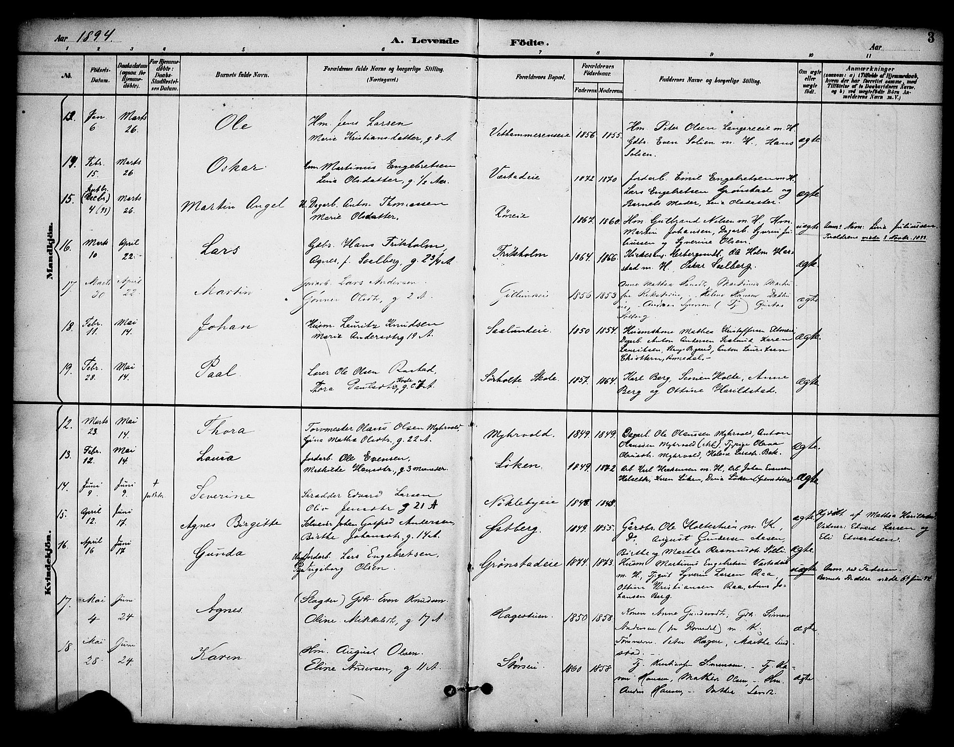 Stange prestekontor, AV/SAH-PREST-002/K/L0020: Parish register (official) no. 20, 1894-1905, p. 3