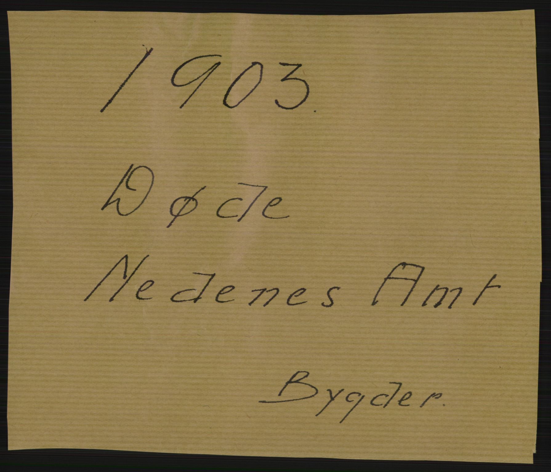 Statistisk sentralbyrå, Sosiodemografiske emner, Befolkning, AV/RA-S-2228/D/Df/Dfa/Dfaa/L0010: Nedenes amt: Fødte, gifte, døde, 1903, p. 359