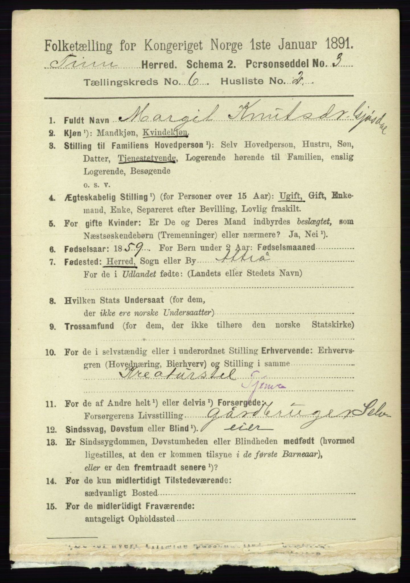 RA, 1891 census for 0826 Tinn, 1891, p. 1197