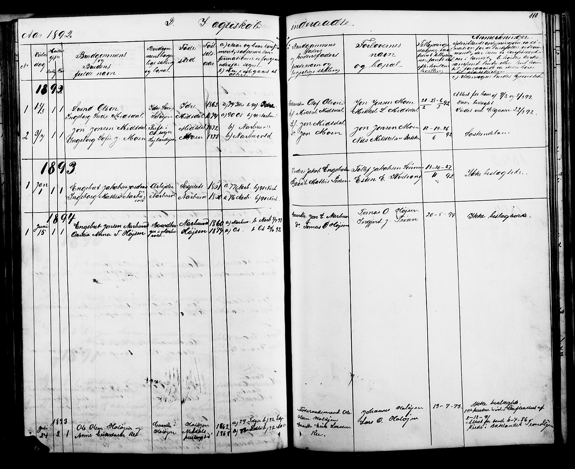 Tolga prestekontor, SAH/PREST-062/L/L0006: Parish register (copy) no. 6, 1864-1894, p. 110