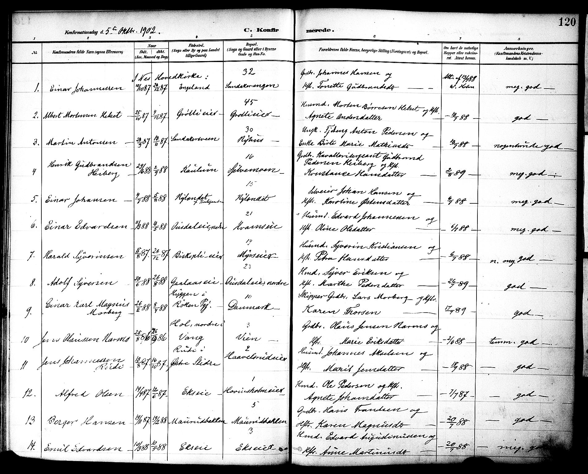 Nes prestekontor, Hedmark, AV/SAH-PREST-020/K/Ka/L0010: Parish register (official) no. 10, 1887-1905, p. 120