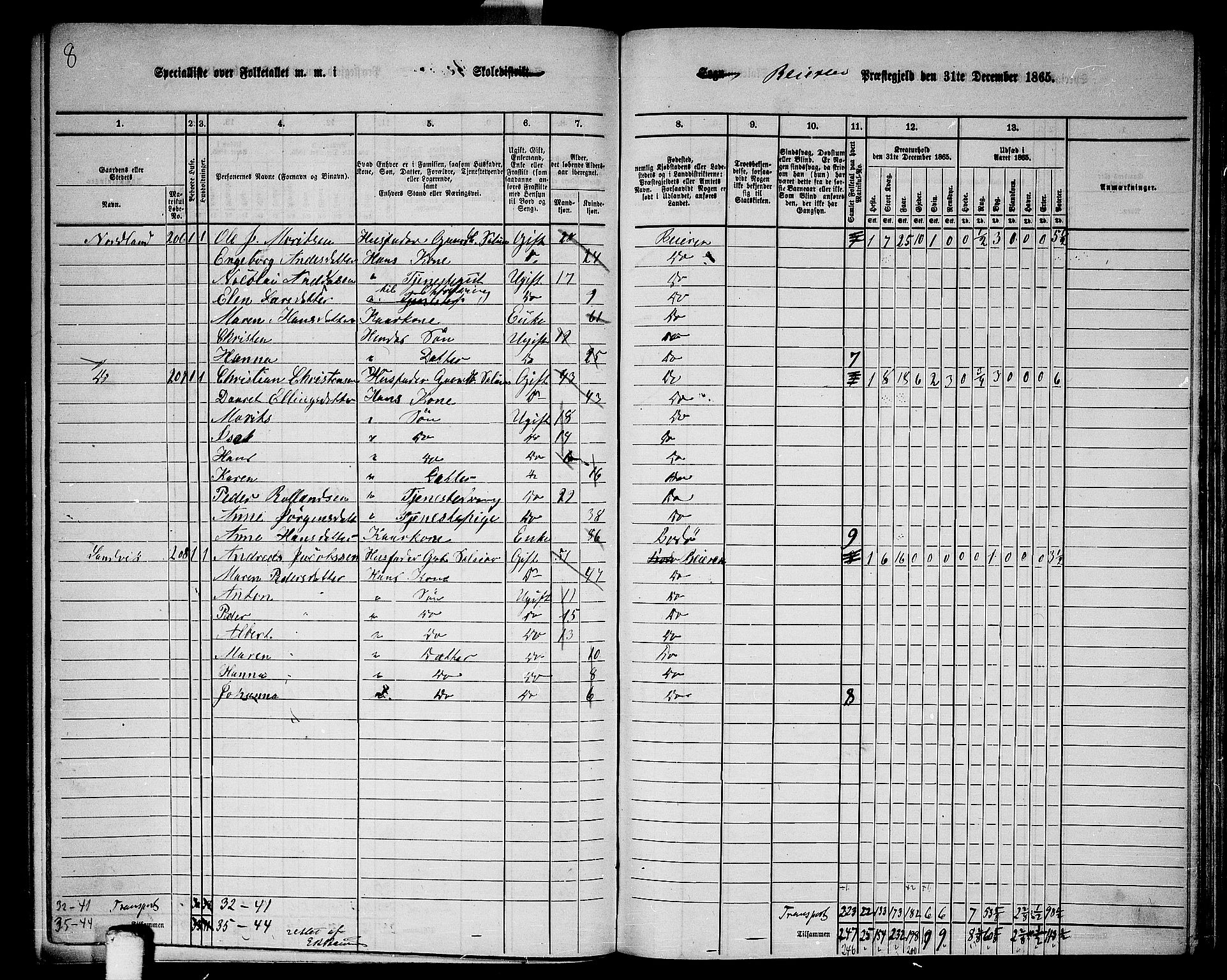 RA, 1865 census for Beiarn, 1865, p. 13