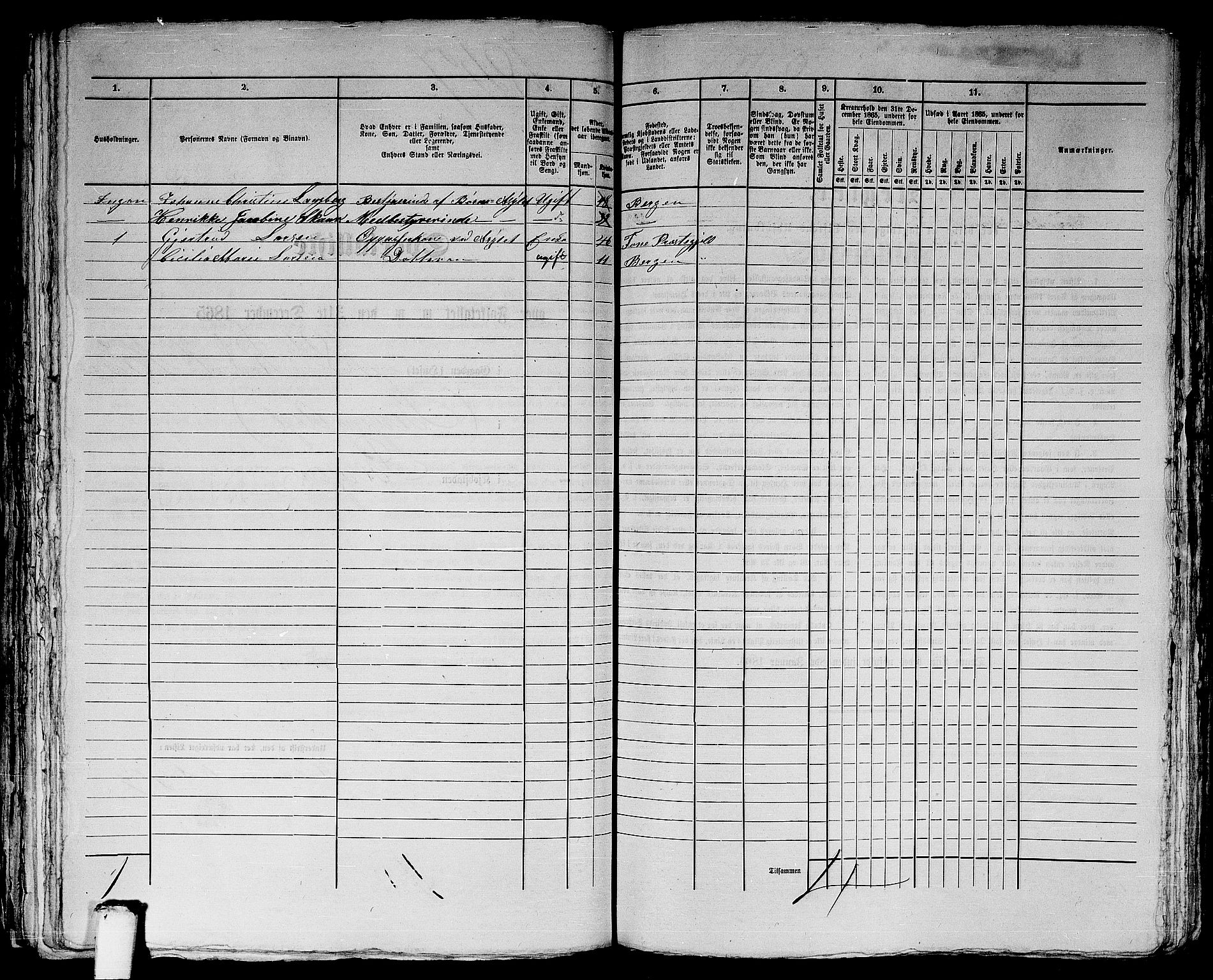 RA, 1865 census for Bergen, 1865, p. 3784