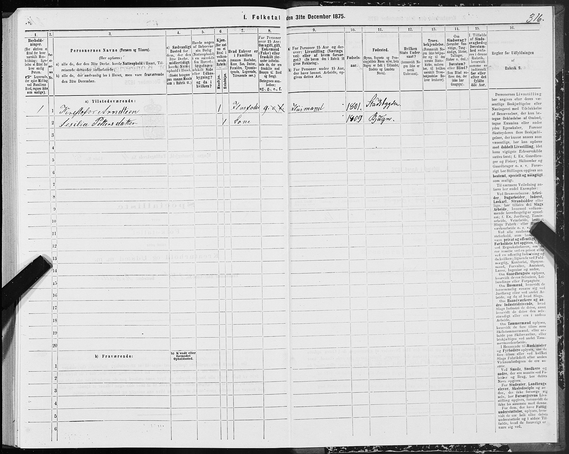 SAT, 1875 census for 1627P Bjugn, 1875, p. 2316