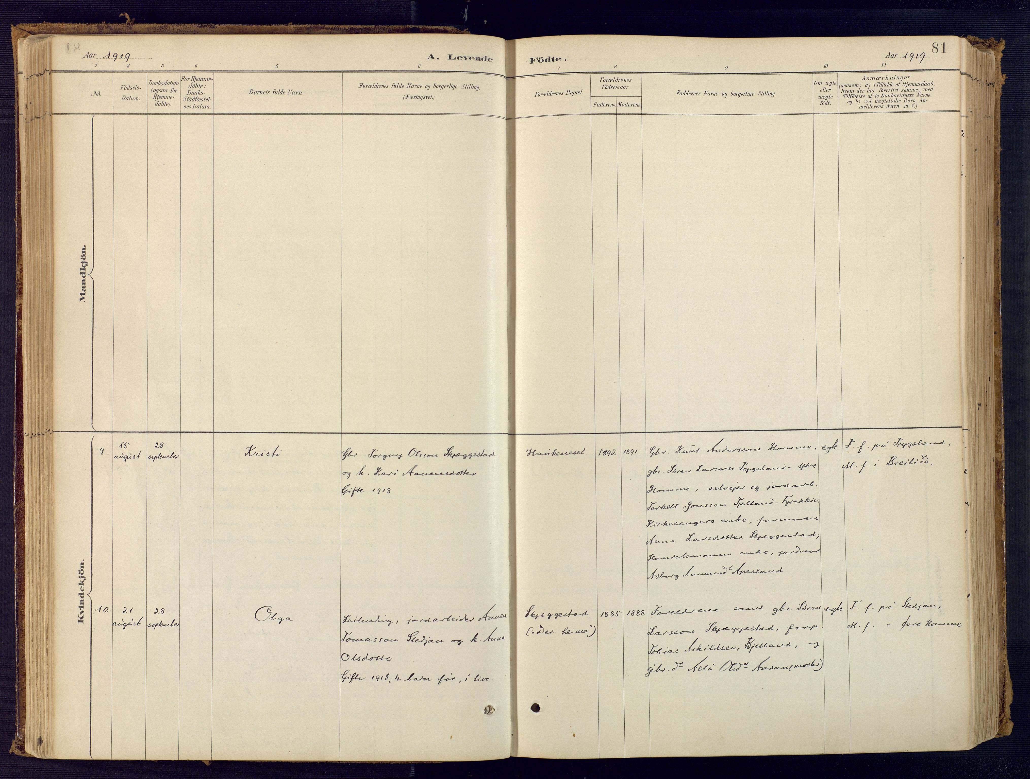 Bjelland sokneprestkontor, AV/SAK-1111-0005/F/Fa/Faa/L0004: Parish register (official) no. A 4, 1887-1923, p. 81