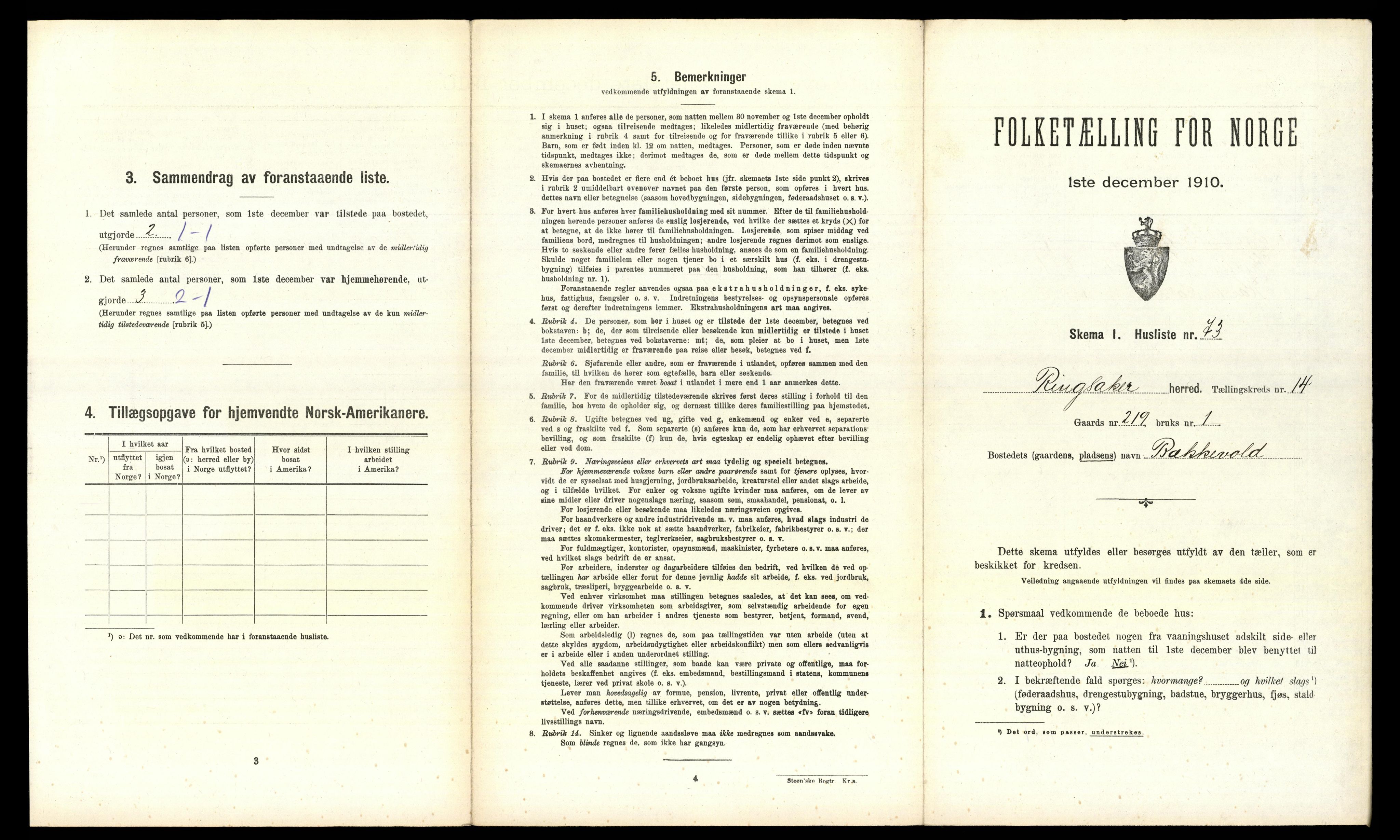 RA, 1910 census for Ringsaker, 1910, p. 2889