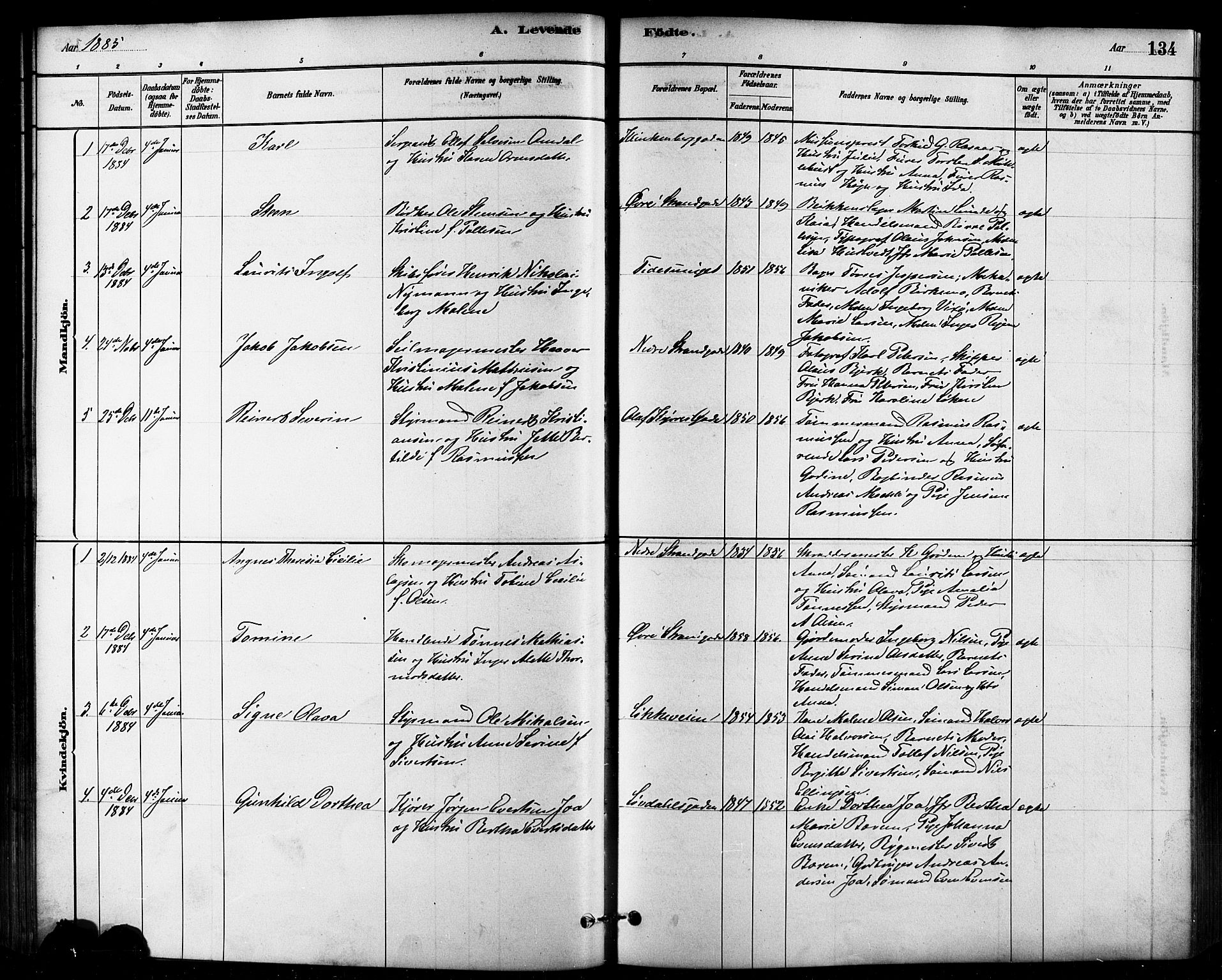 Domkirken sokneprestkontor, SAST/A-101812/001/30/30BB/L0015: Parish register (copy) no. B 15, 1880-1891, p. 134