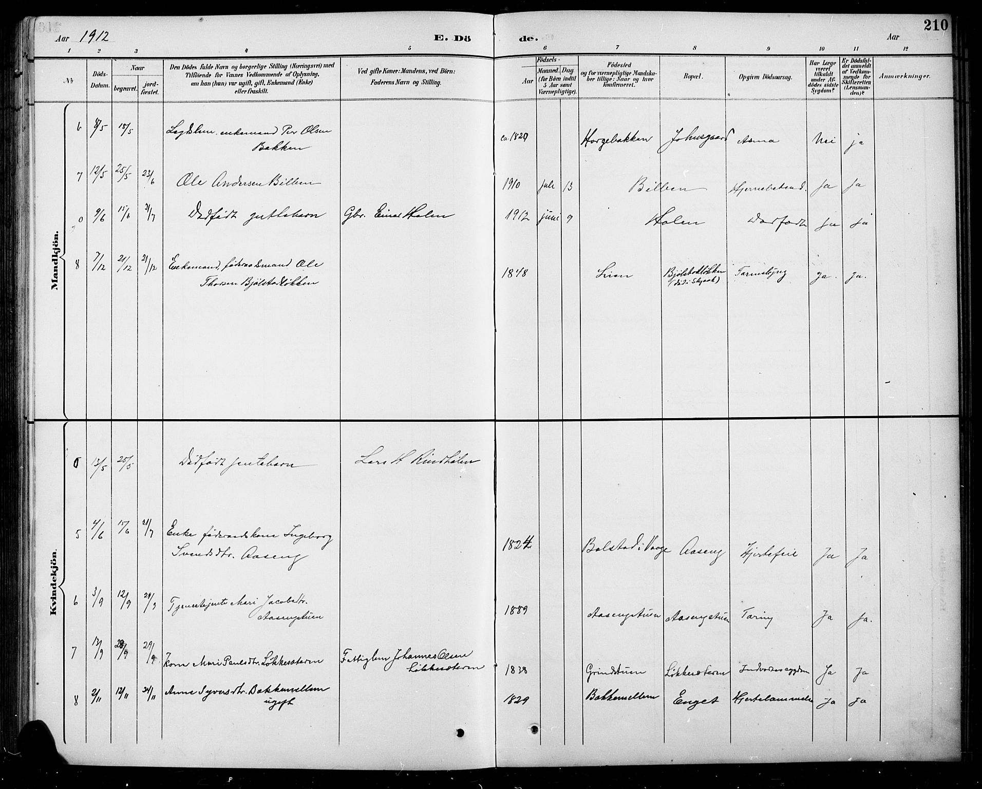 Sel prestekontor, SAH/PREST-074/H/Ha/Hab/L0005: Parish register (copy) no. 5, 1894-1923, p. 210