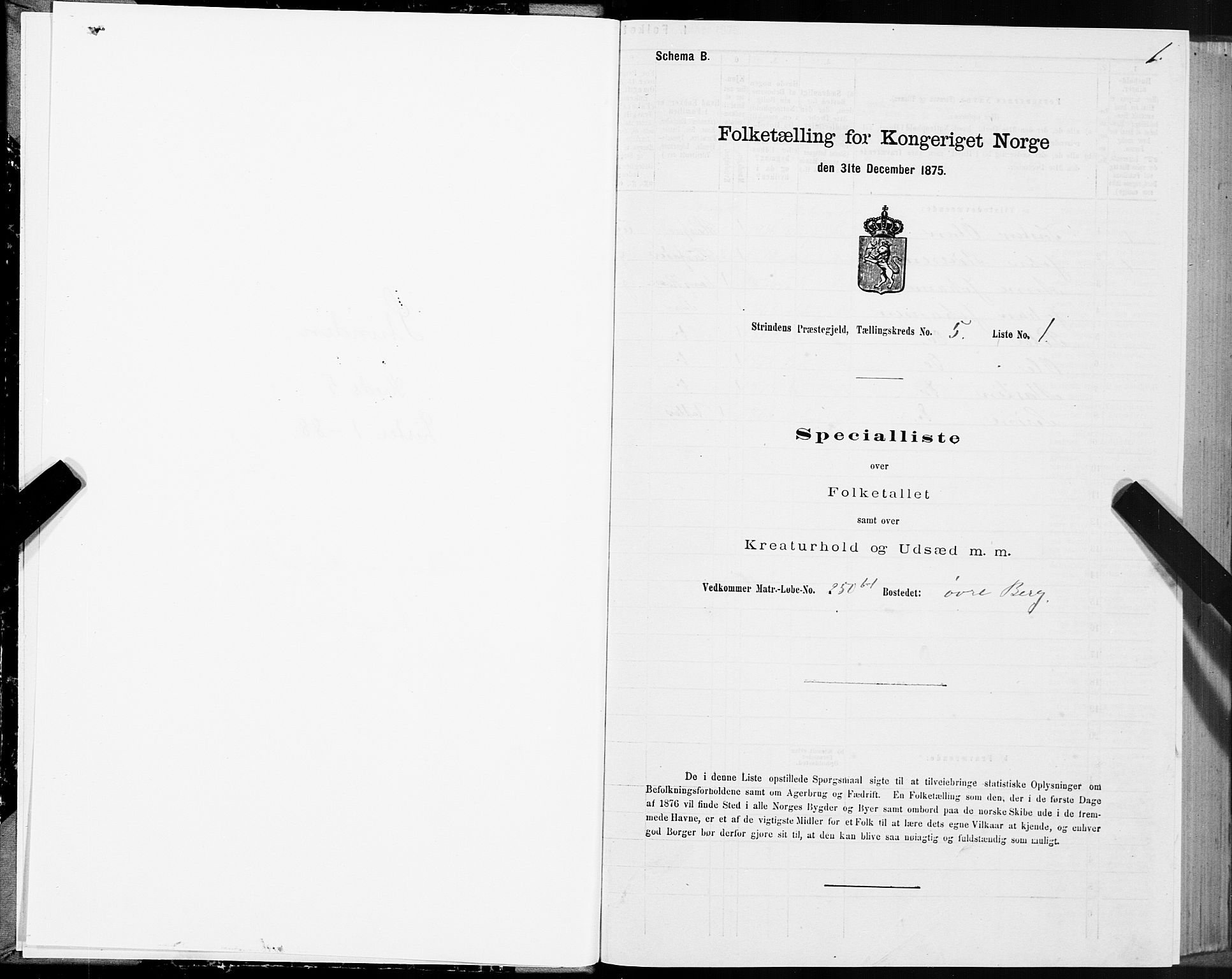 SAT, 1875 census for 1660P Strinda, 1875, p. 3001