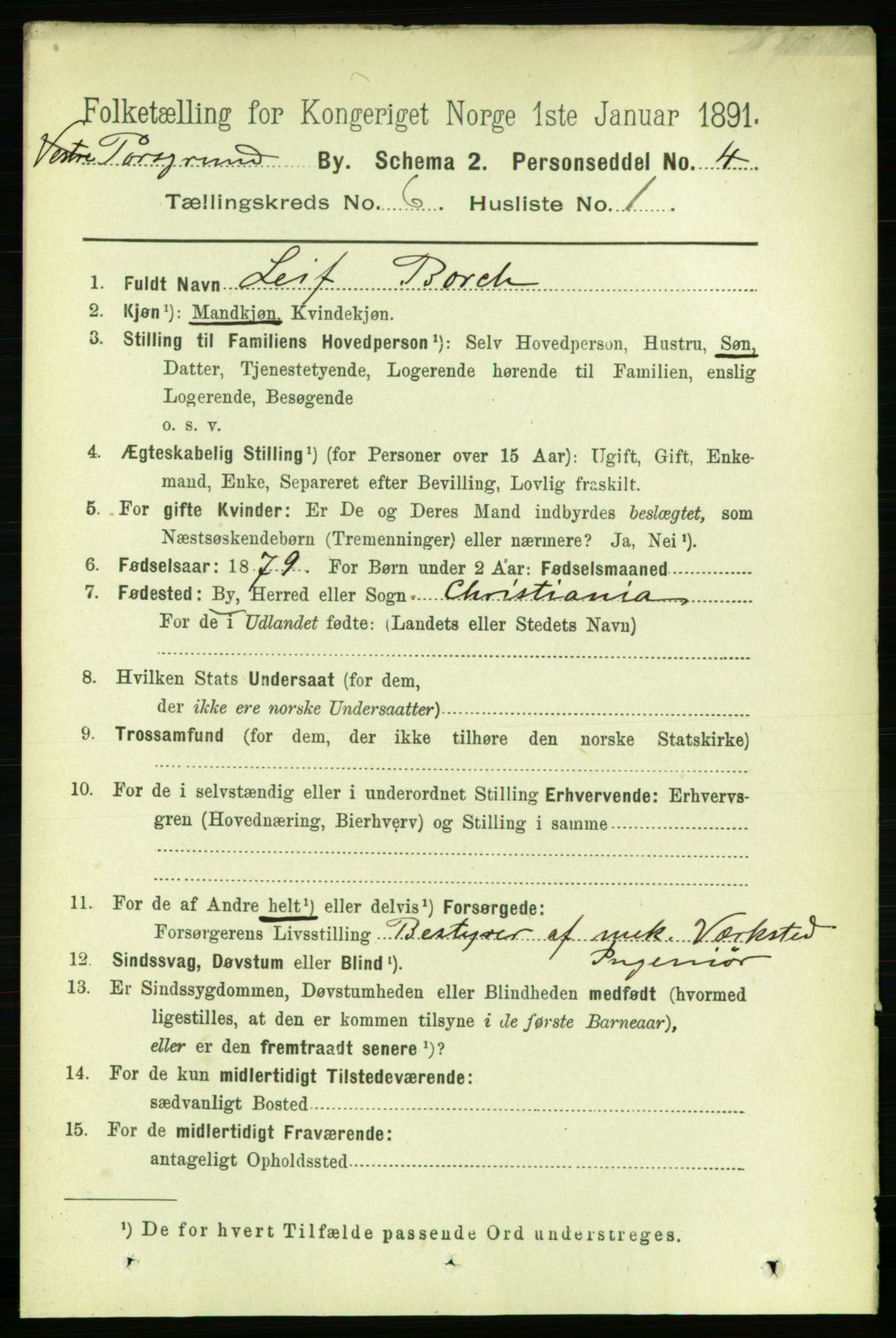 RA, 1891 census for 0805 Porsgrunn, 1891, p. 5102