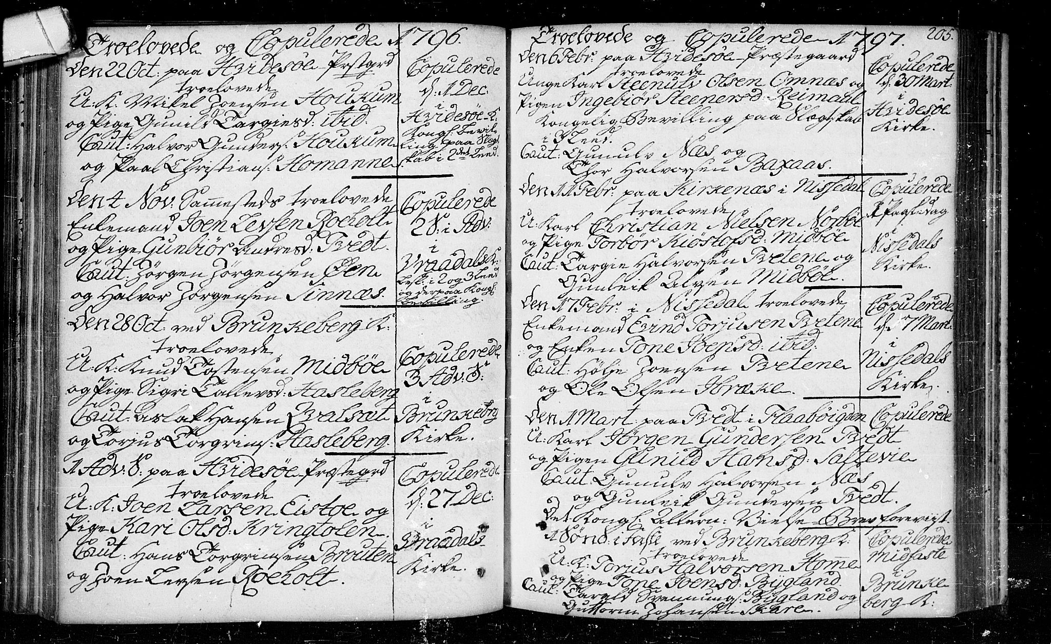 Kviteseid kirkebøker, SAKO/A-276/F/Fa/L0003: Parish register (official) no. I 3, 1787-1799, p. 205