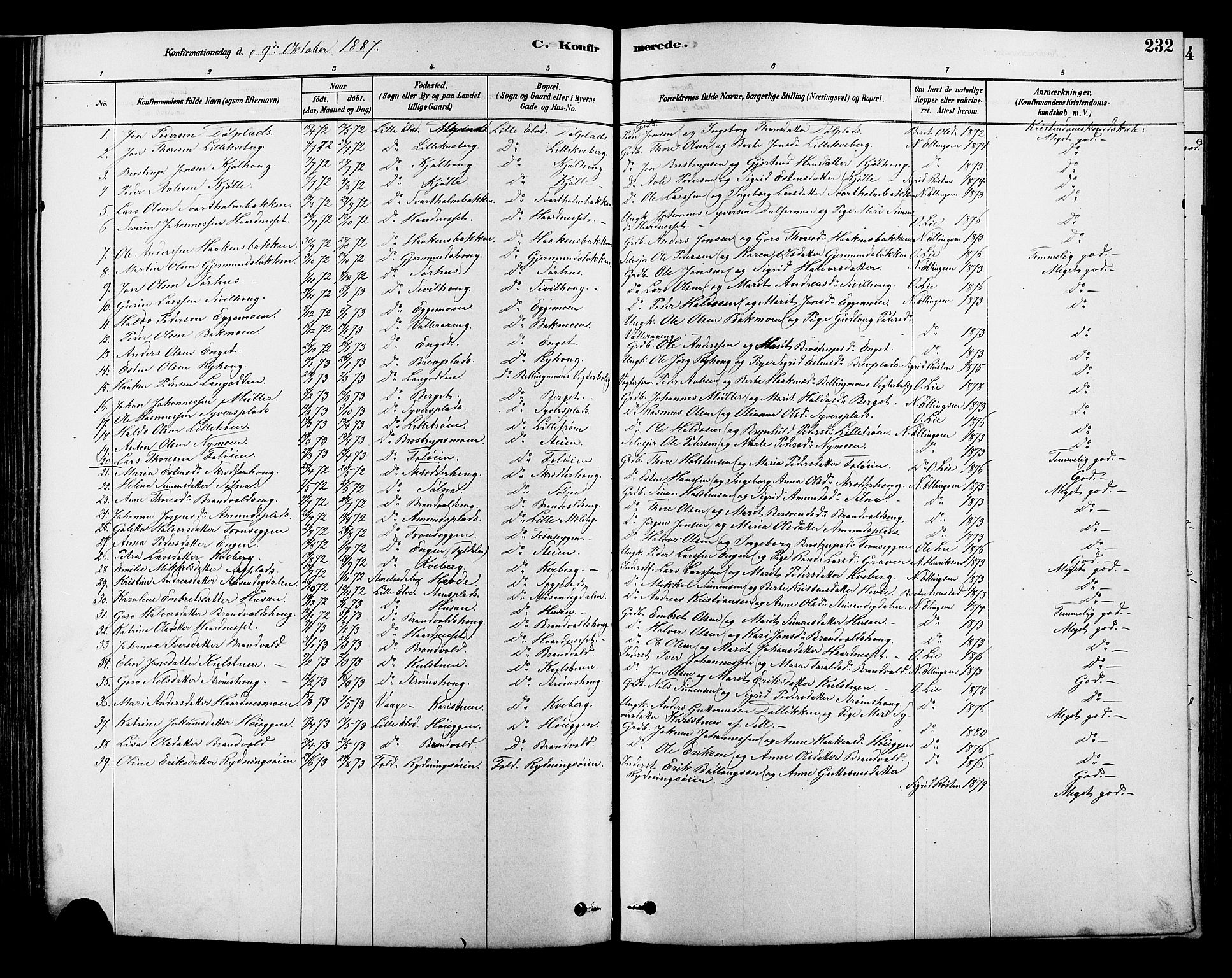 Alvdal prestekontor, SAH/PREST-060/H/Ha/Hab/L0003: Parish register (copy) no. 3, 1878-1907, p. 232