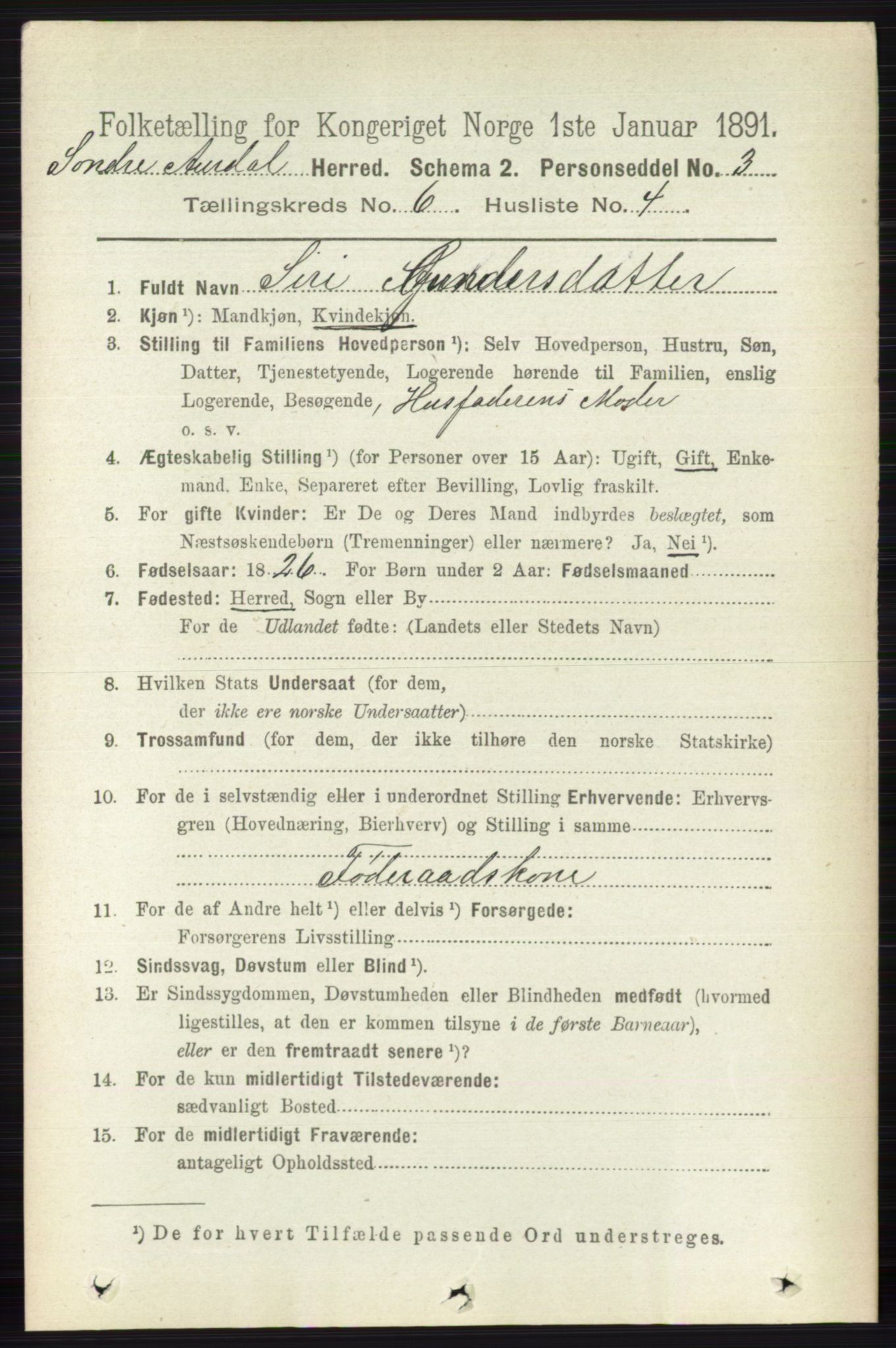 RA, 1891 census for 0540 Sør-Aurdal, 1891, p. 3821