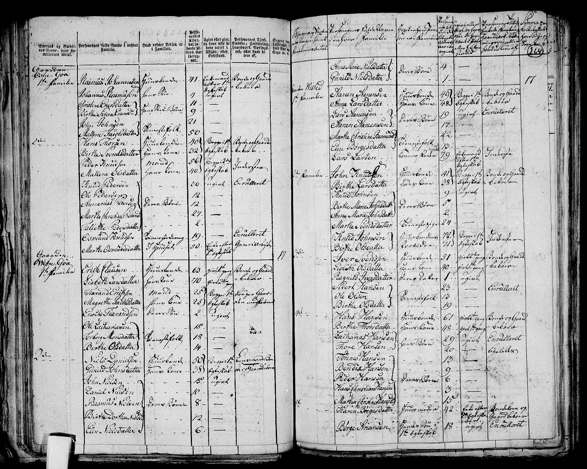 RA, 1801 census for 1103P Stavanger, 1801, p. 263b-264a