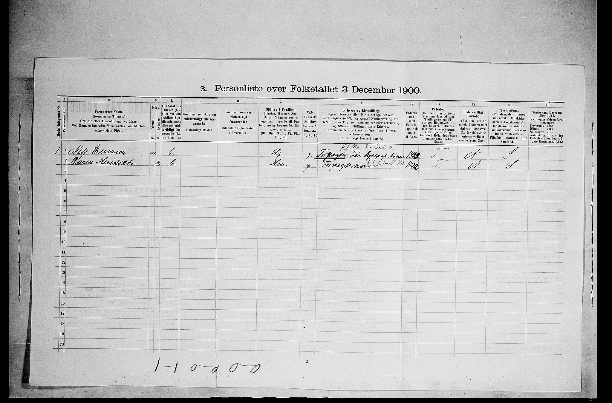 SAH, 1900 census for Nes, 1900, p. 627