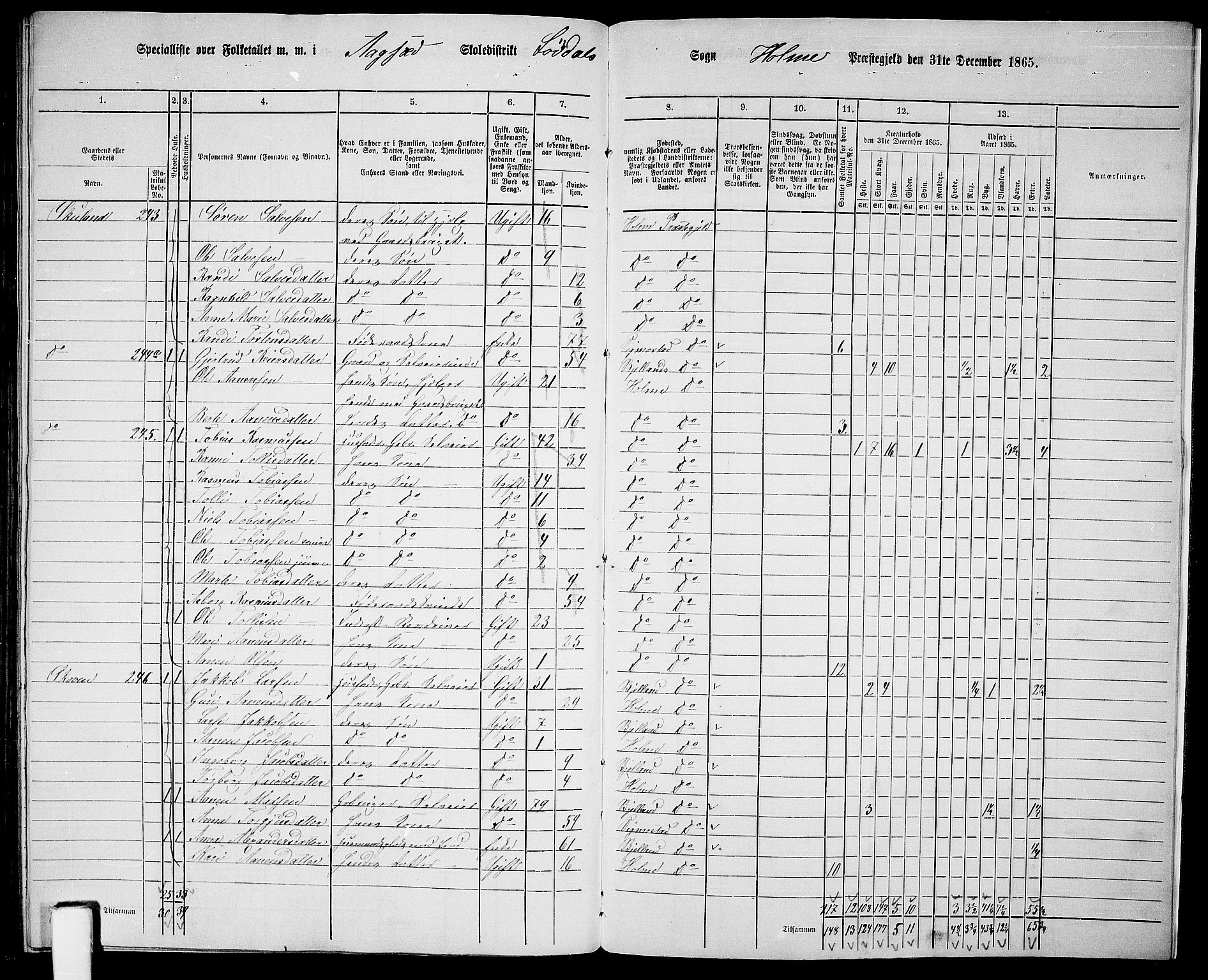 RA, 1865 census for Holum, 1865, p. 177