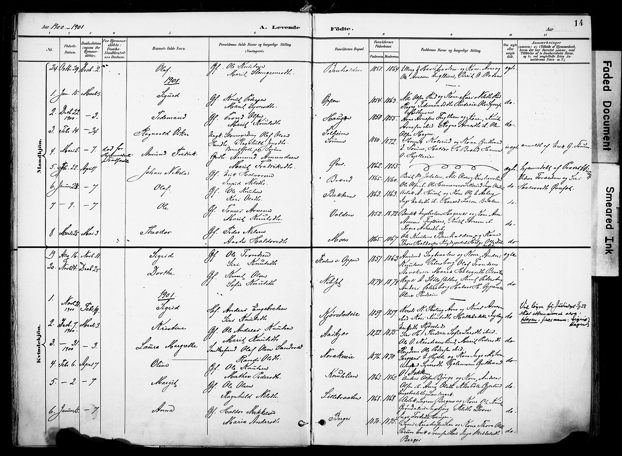 Nord-Aurdal prestekontor, SAH/PREST-132/H/Ha/Haa/L0014: Parish register (official) no. 14, 1896-1912, p. 14