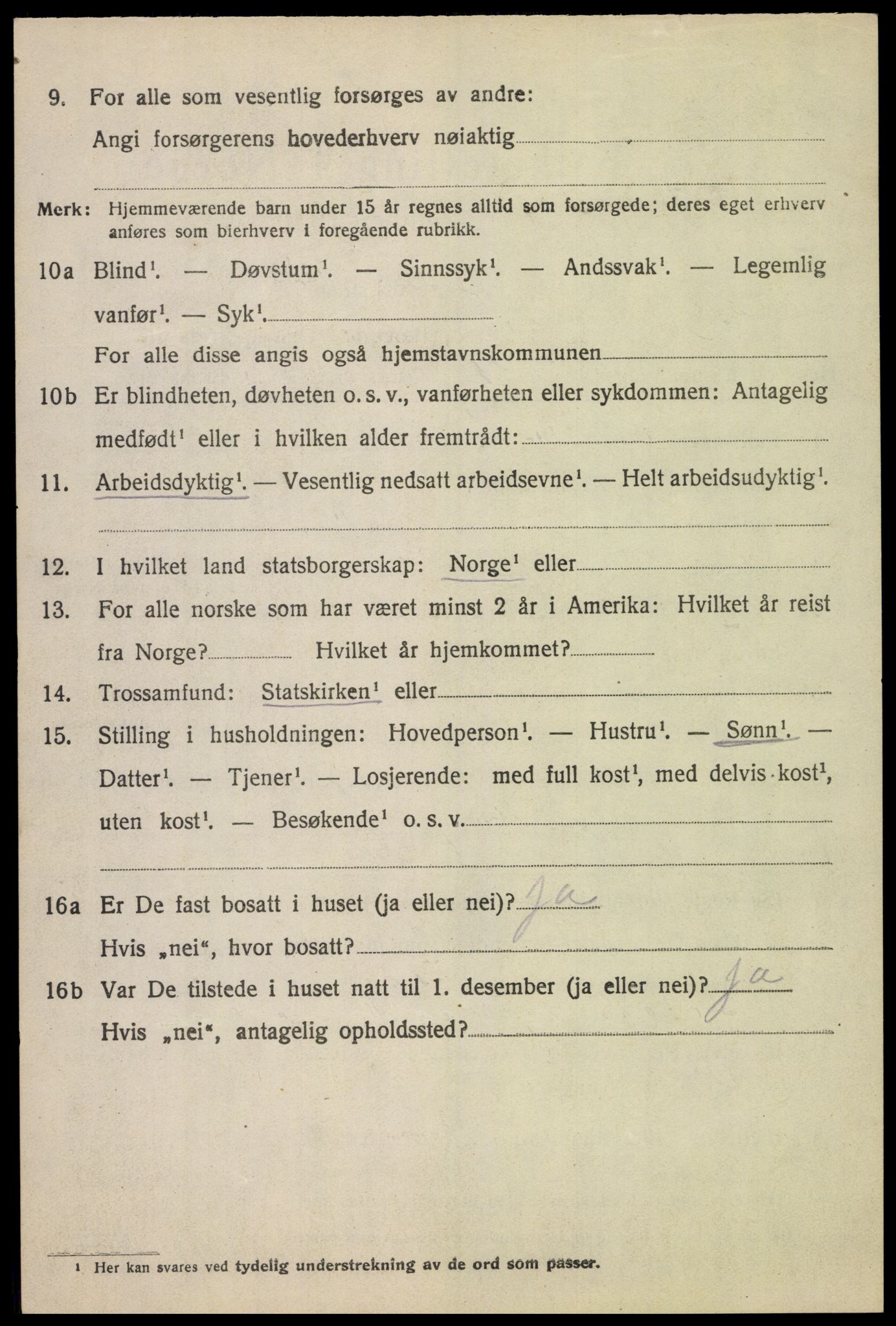 SAH, 1920 census for Heidal, 1920, p. 919