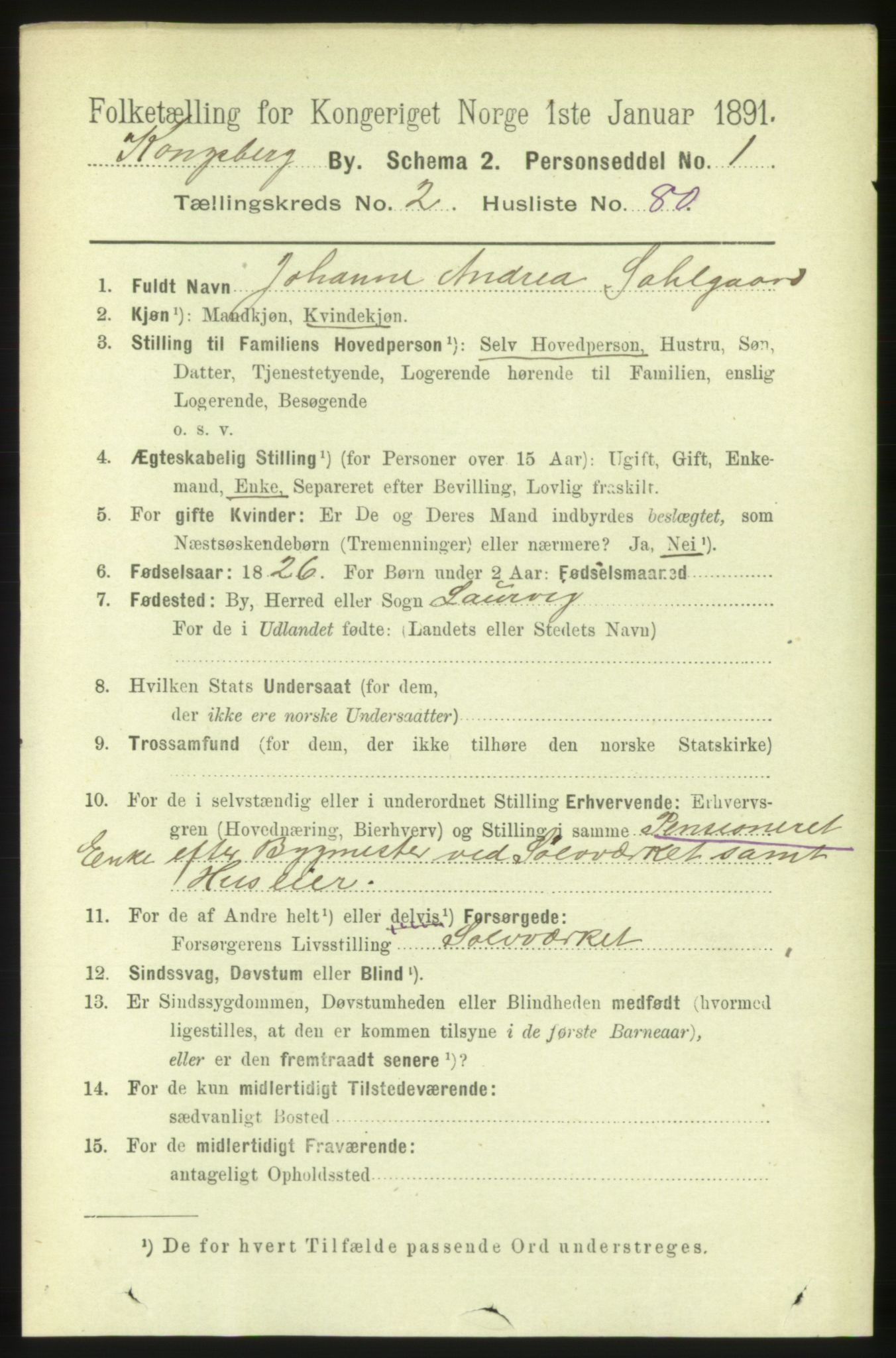 RA, 1891 census for 0604 Kongsberg, 1891, p. 2761