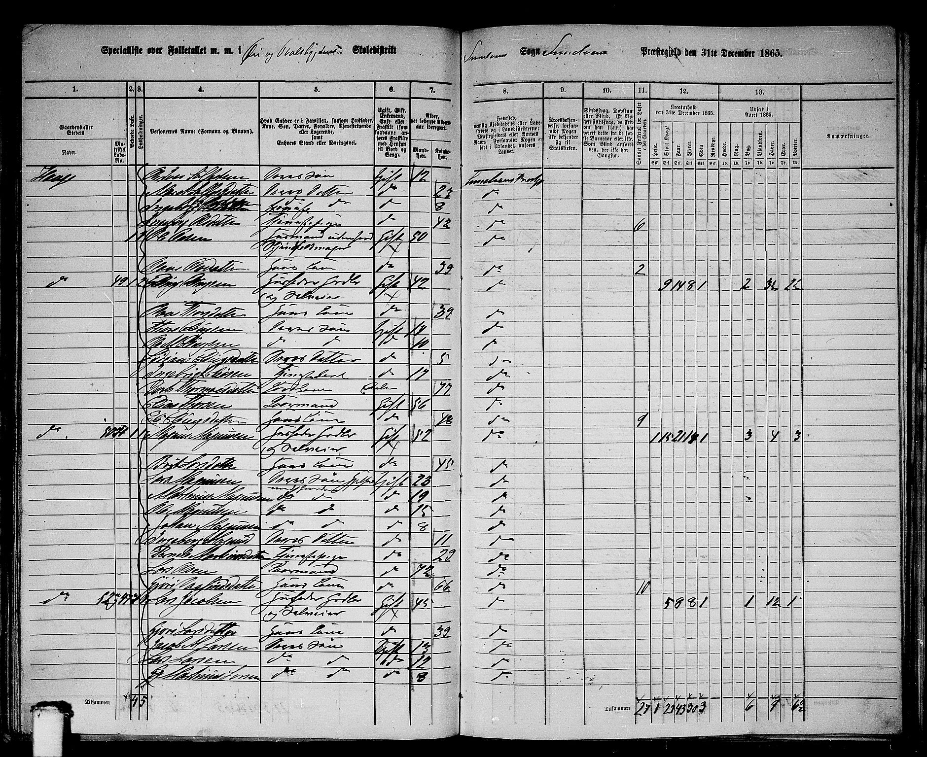 RA, 1865 census for Sunnylven, 1865, p. 49