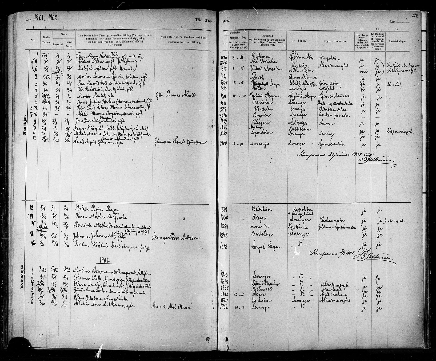 Ministerialprotokoller, klokkerbøker og fødselsregistre - Nord-Trøndelag, SAT/A-1458/720/L0192: Parish register (copy) no. 720C01, 1880-1917, p. 124a