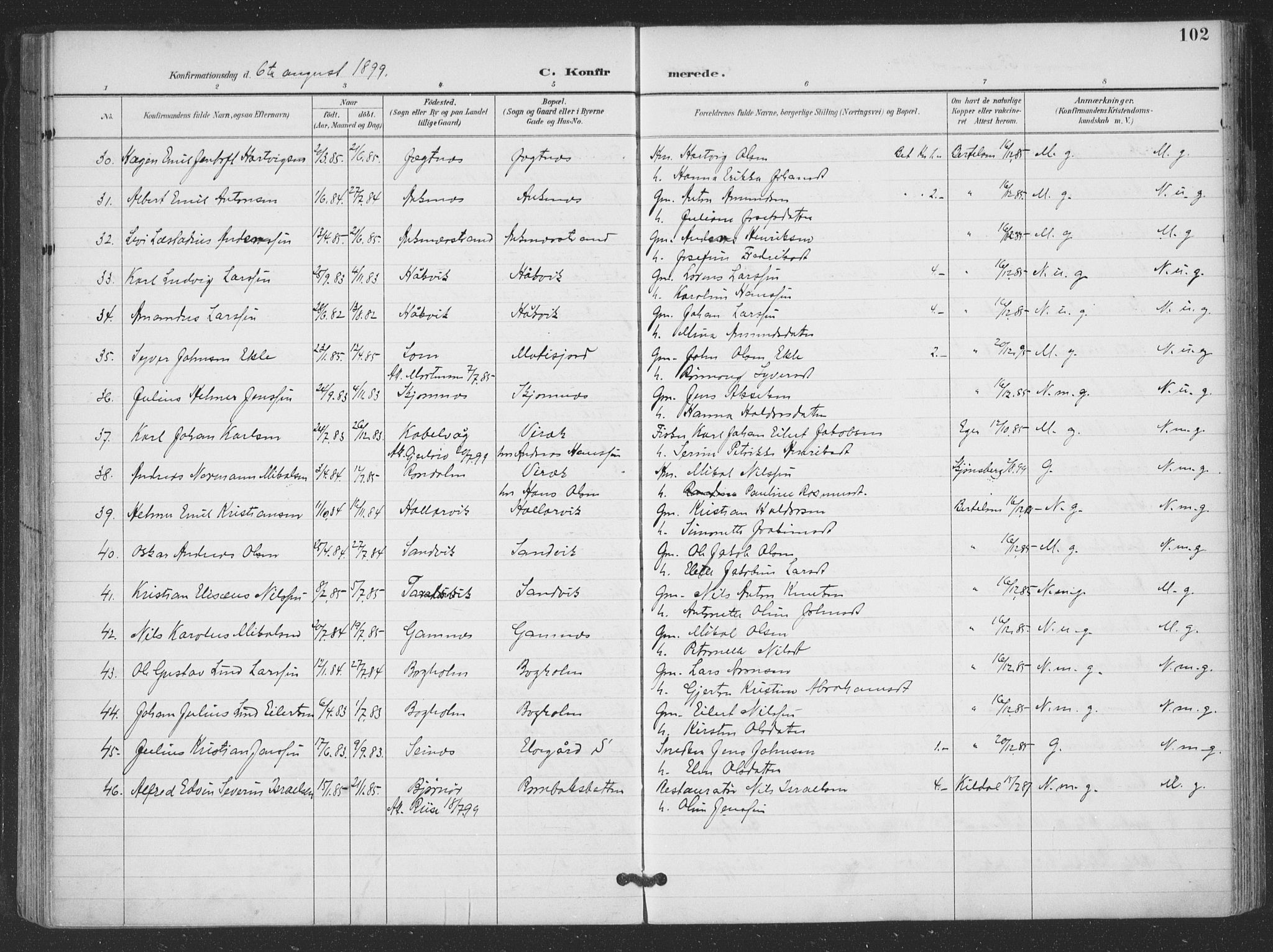 Ministerialprotokoller, klokkerbøker og fødselsregistre - Nordland, AV/SAT-A-1459/866/L0939: Parish register (official) no. 866A02, 1894-1906, p. 102