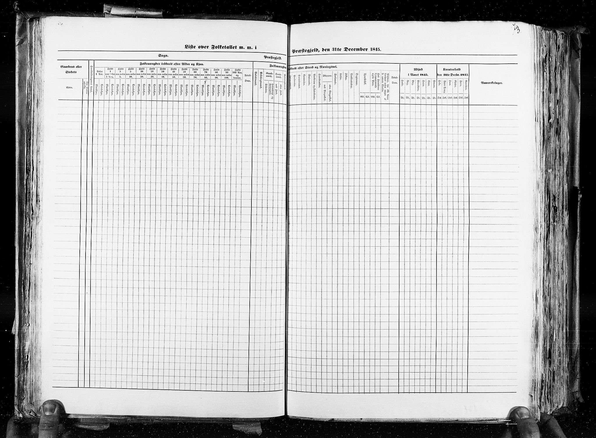 RA, Census 1845, vol. 4: Buskerud amt og Jarlsberg og Larvik amt, 1845, p. 73