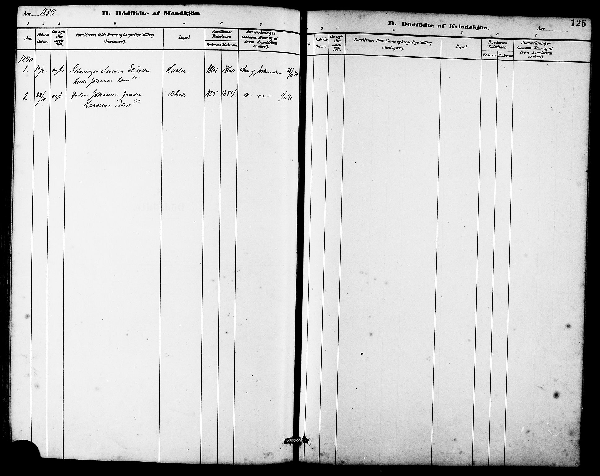 Ministerialprotokoller, klokkerbøker og fødselsregistre - Møre og Romsdal, AV/SAT-A-1454/536/L0510: Parish register (copy) no. 536C05, 1881-1898, p. 125