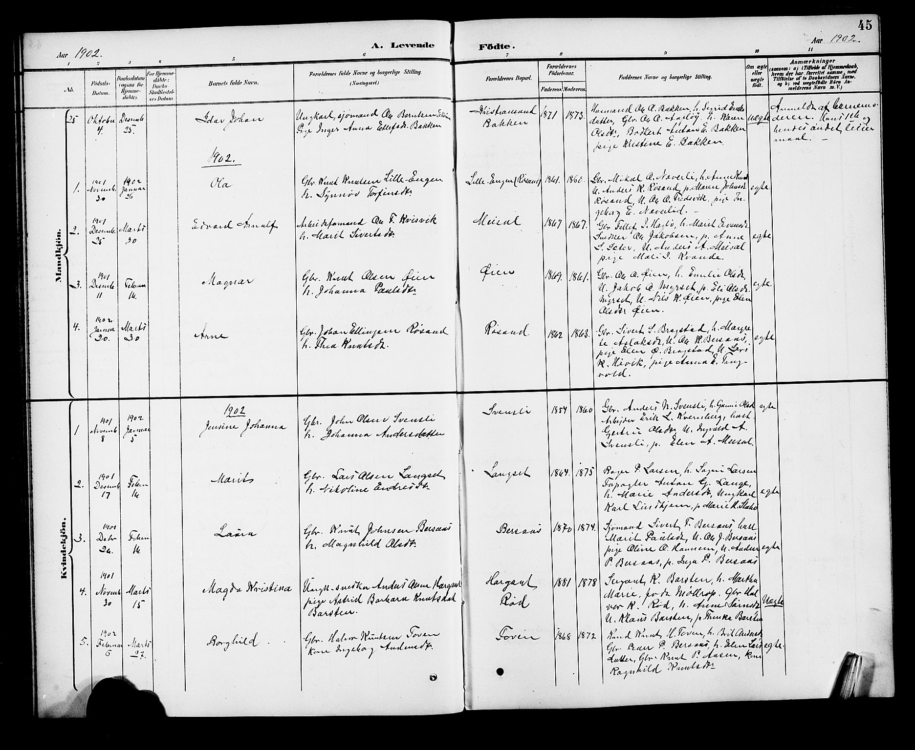 Ministerialprotokoller, klokkerbøker og fødselsregistre - Møre og Romsdal, SAT/A-1454/551/L0632: Parish register (copy) no. 551C04, 1894-1920, p. 45