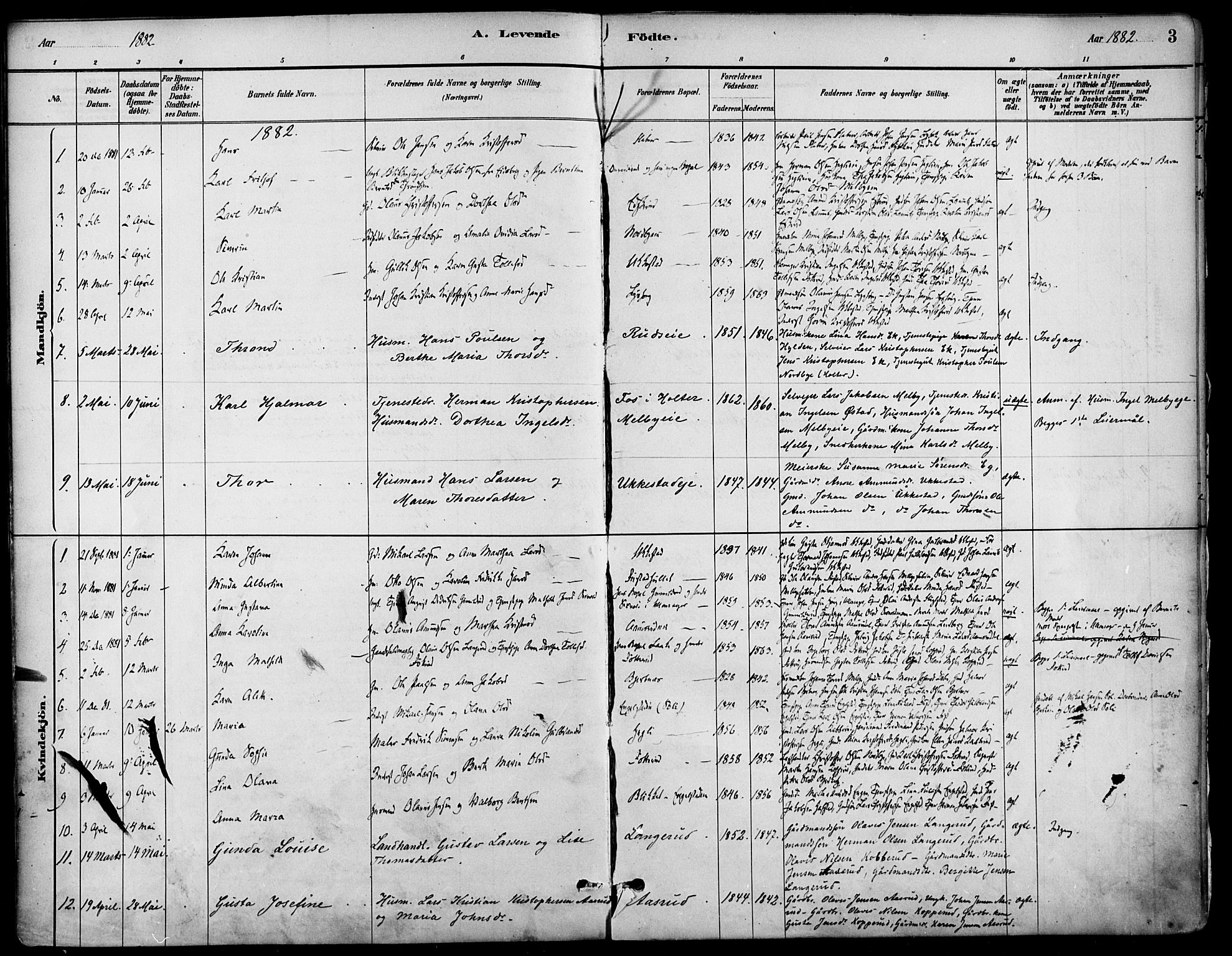 Nannestad prestekontor Kirkebøker, SAO/A-10414a/F/Fa/L0014: Parish register (official) no. I 14, 1881-1890, p. 3