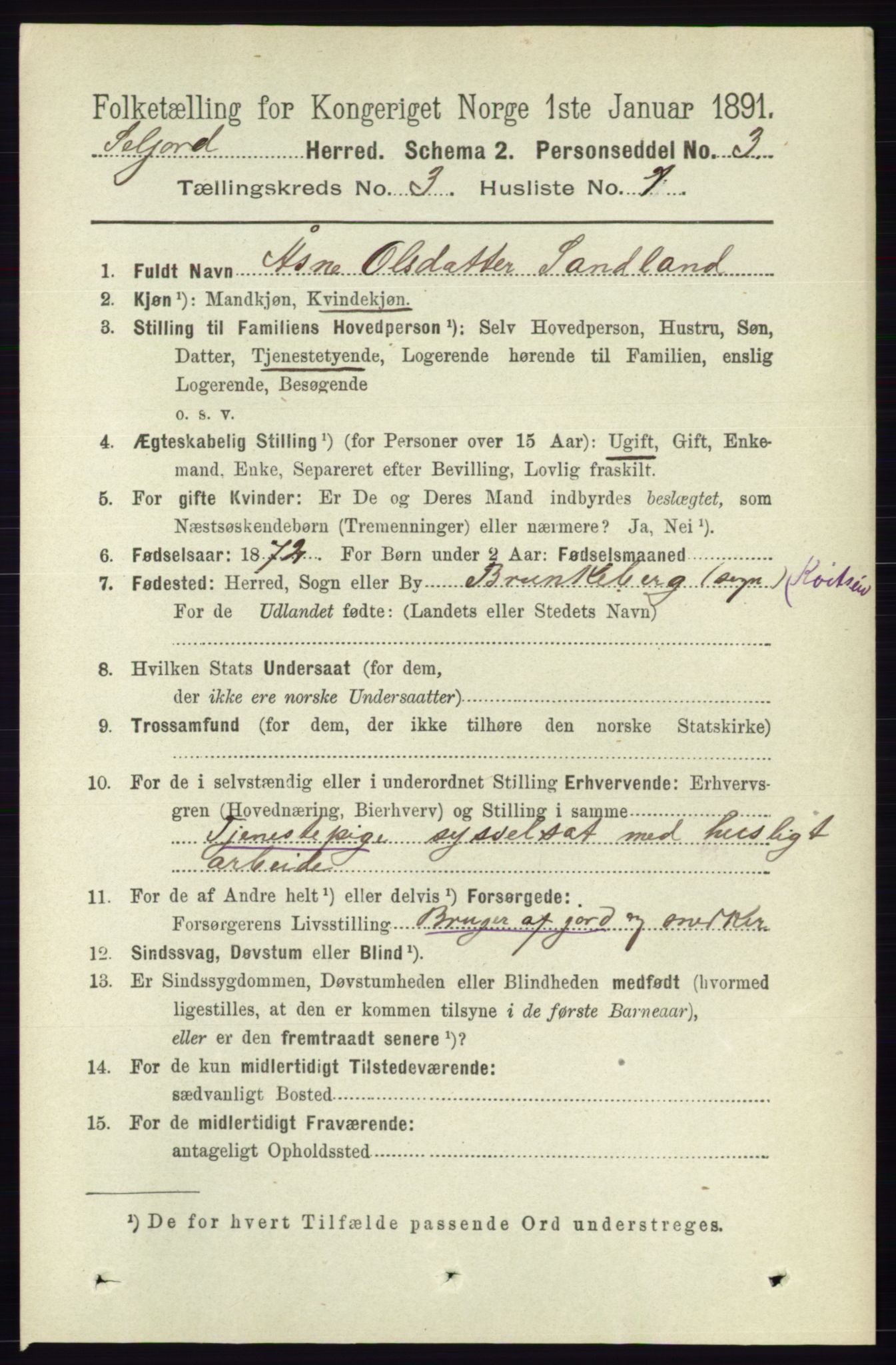 RA, 1891 census for 0828 Seljord, 1891, p. 984