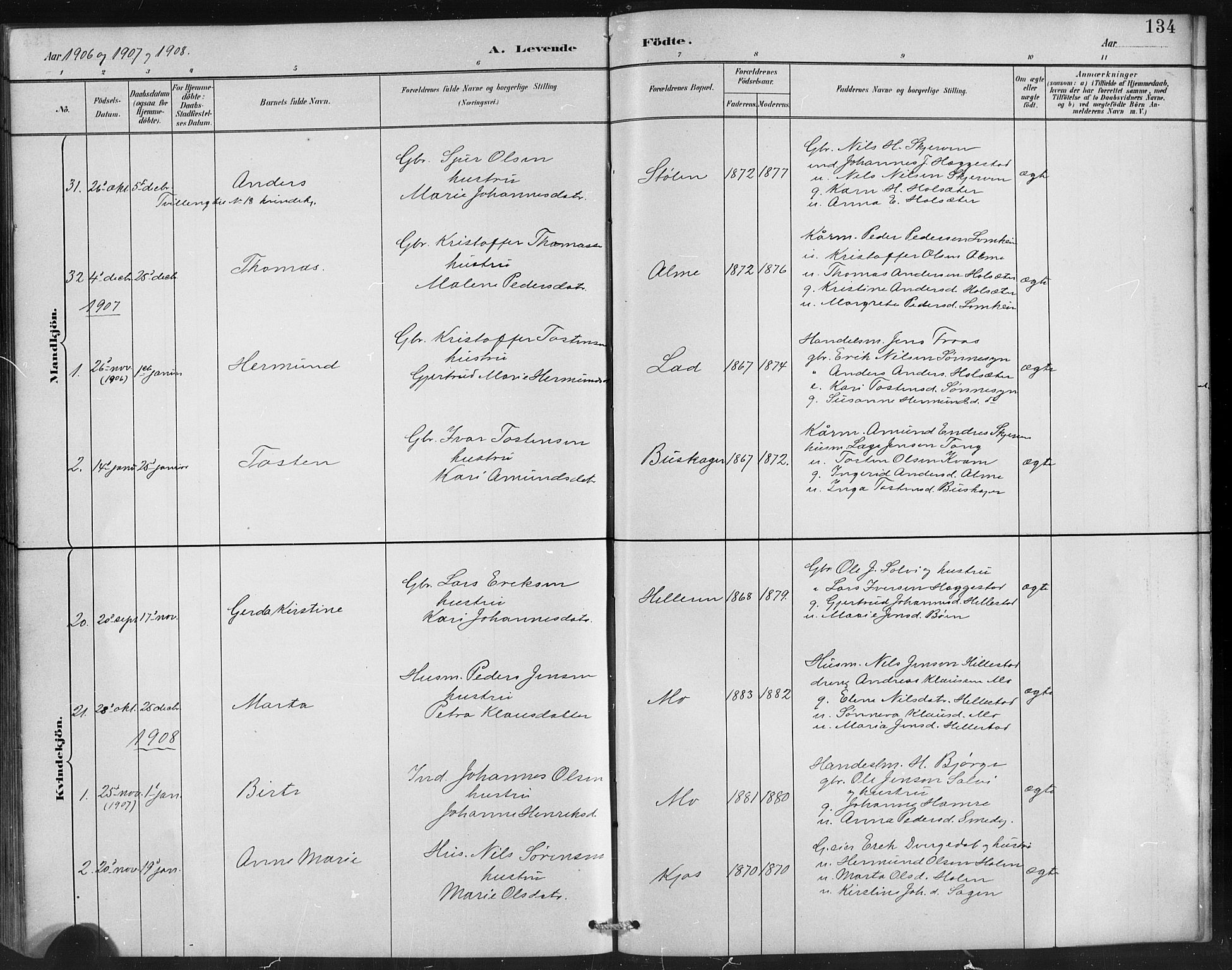 Hafslo sokneprestembete, AV/SAB-A-80301/H/Hab/Habb/L0001: Parish register (copy) no. B 1, 1882-1908, p. 134