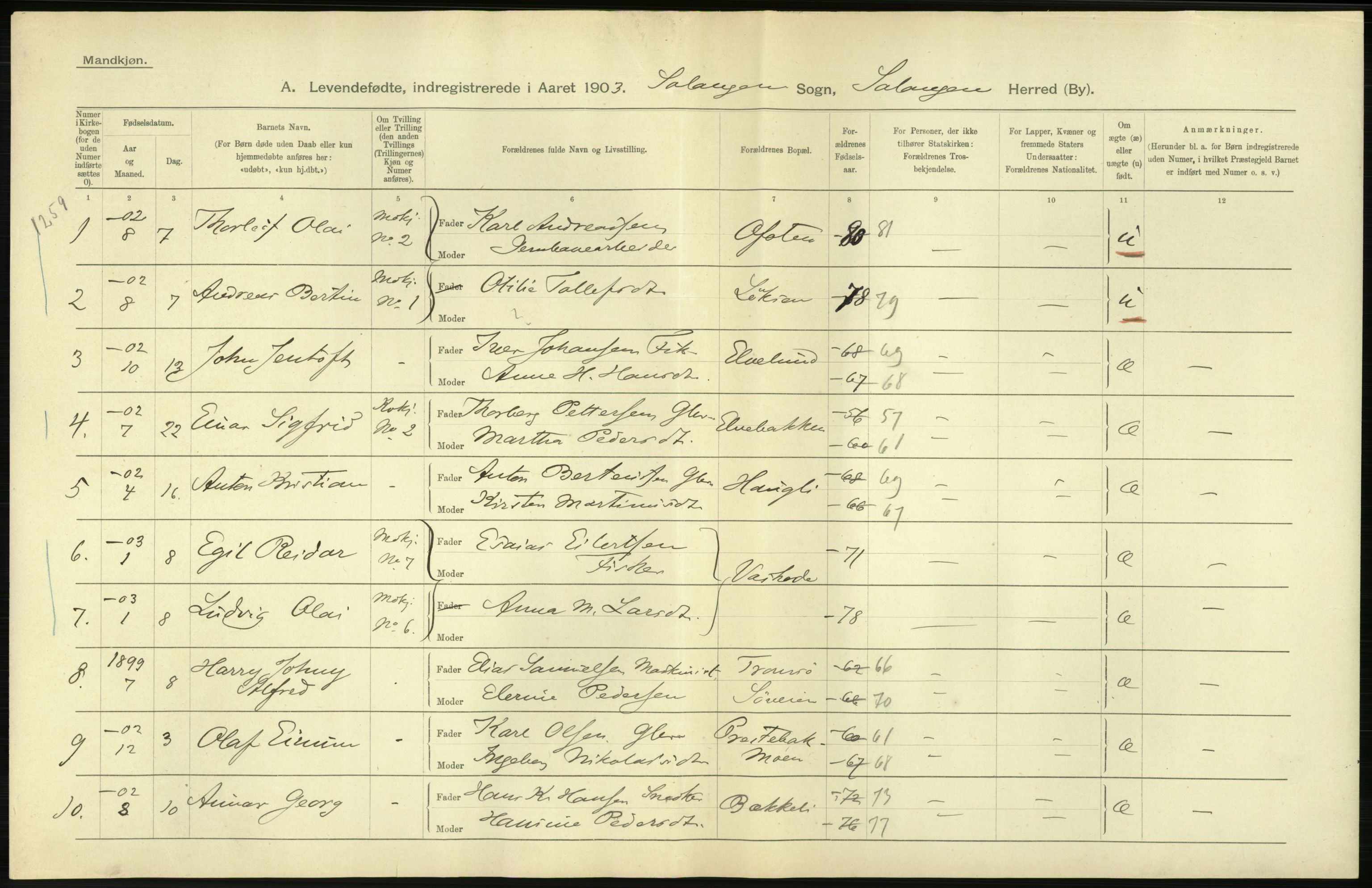 Statistisk sentralbyrå, Sosiodemografiske emner, Befolkning, AV/RA-S-2228/D/Df/Dfa/Dfaa/L0021: Tromsø amt: Fødte, gifte, døde., 1903, p. 30