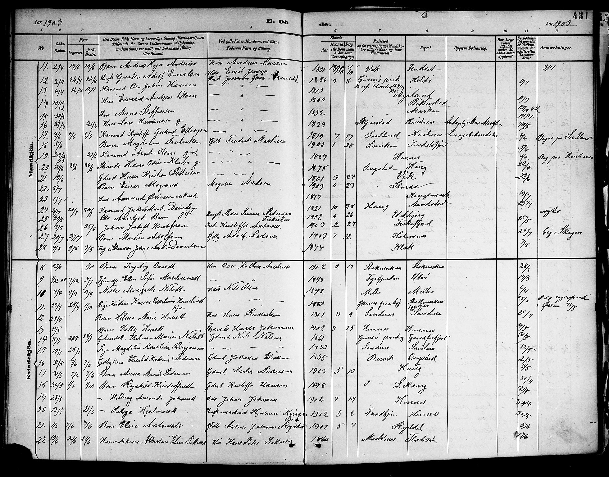 Ministerialprotokoller, klokkerbøker og fødselsregistre - Nordland, SAT/A-1459/888/L1268: Parish register (copy) no. 888C06, 1891-1908, p. 431