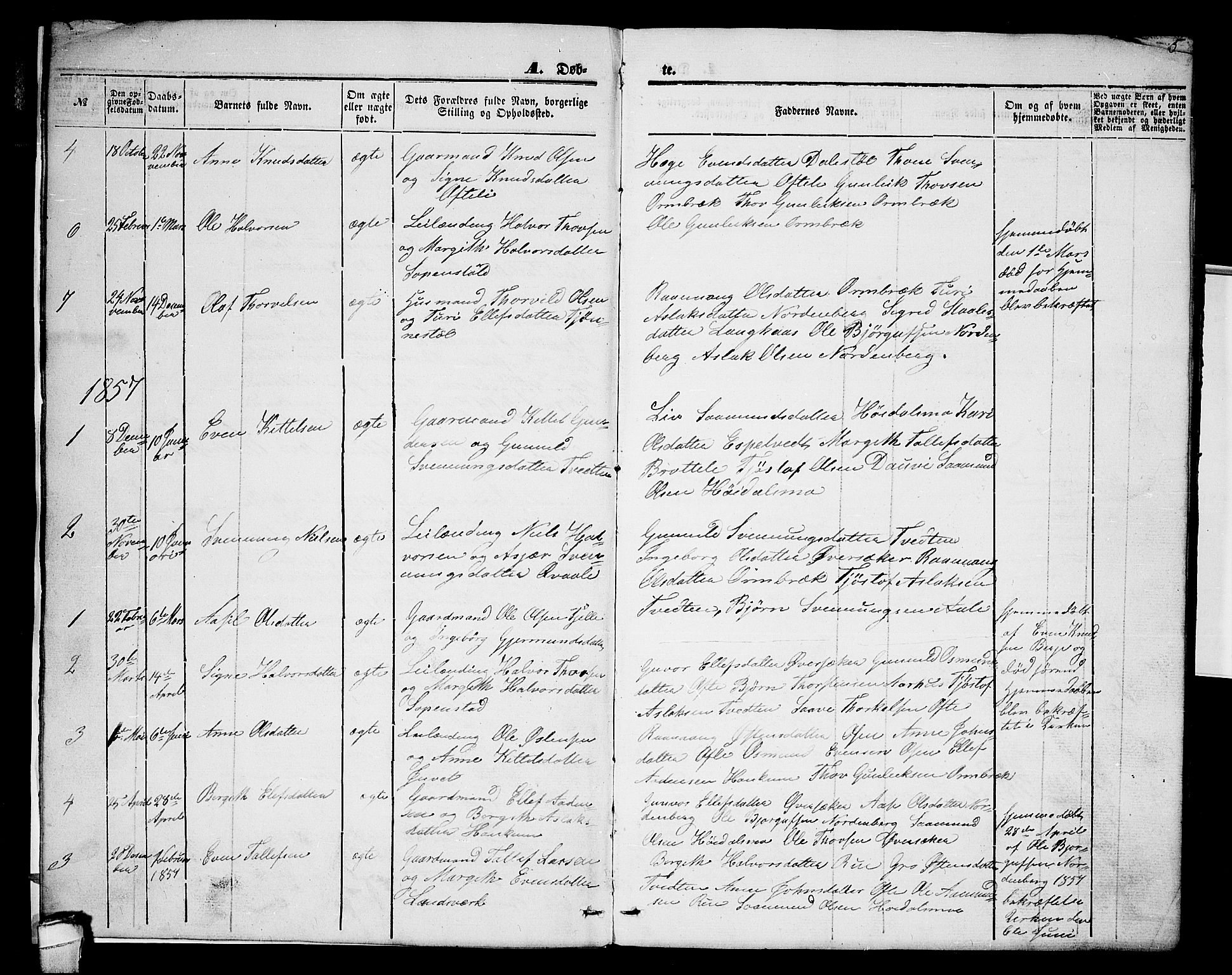 Lårdal kirkebøker, SAKO/A-284/G/Gc/L0002: Parish register (copy) no. III 2, 1852-1877, p. 5