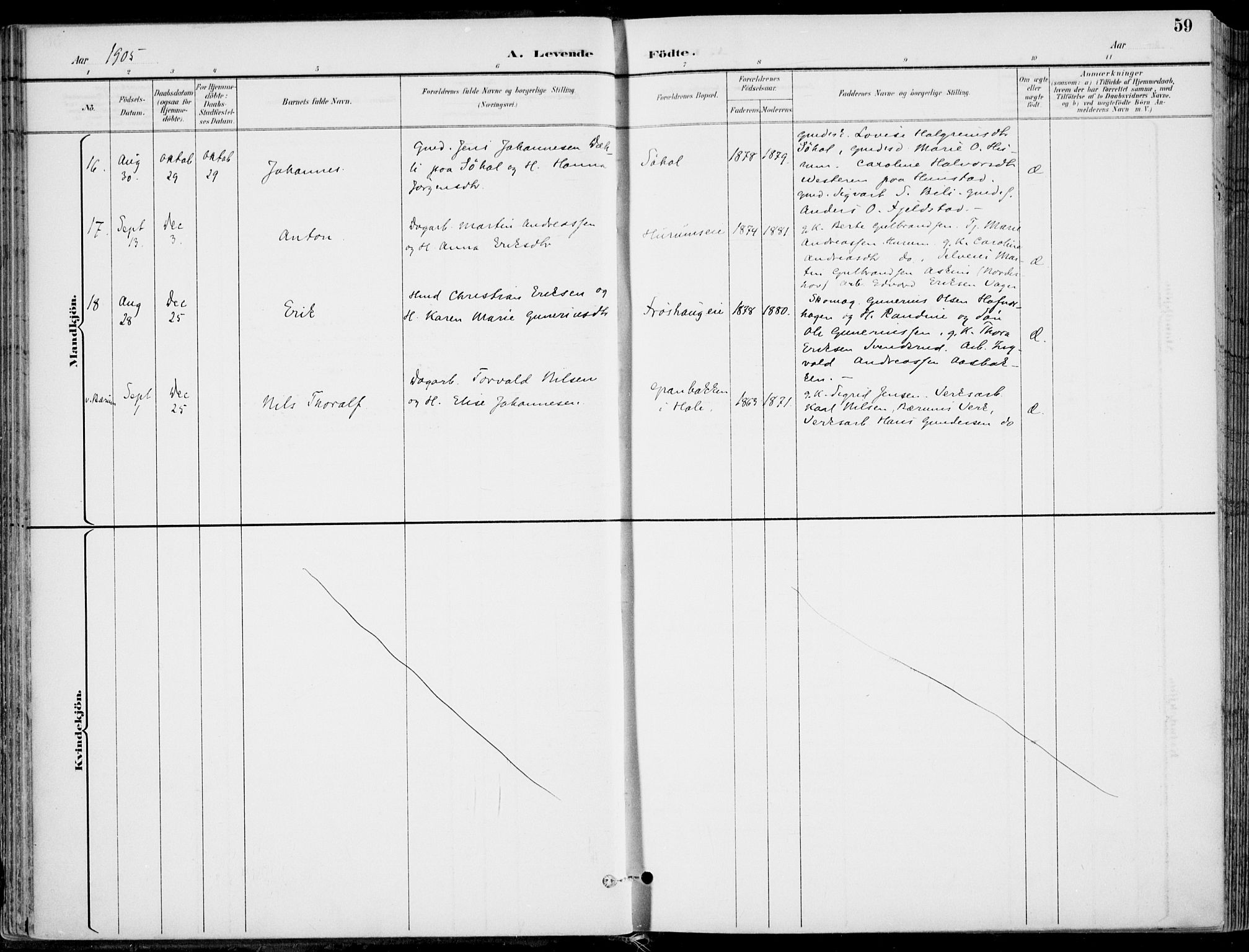 Hole kirkebøker, SAKO/A-228/F/Fa/L0009: Parish register (official) no. I 9, 1892-1907, p. 59