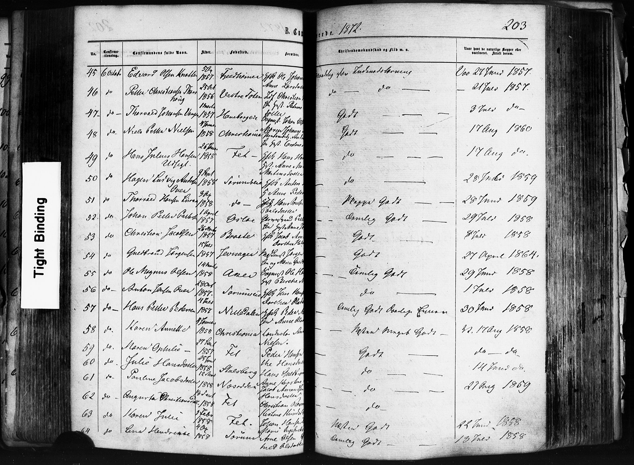 Skedsmo prestekontor Kirkebøker, AV/SAO-A-10033a/F/Fa/L0011: Parish register (official) no. I 11, 1866-1876, p. 203