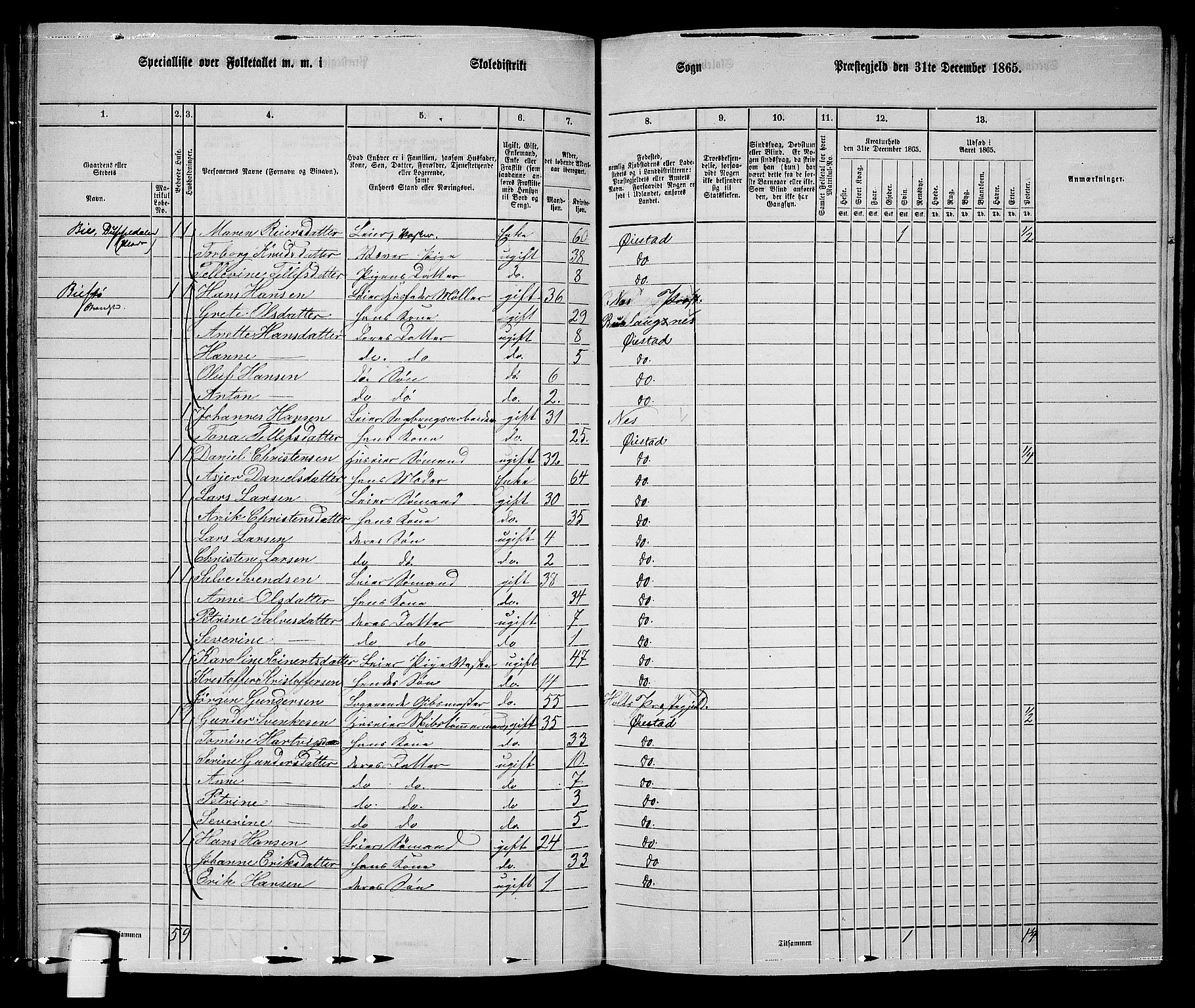 RA, 1865 census for Øyestad, 1865, p. 114