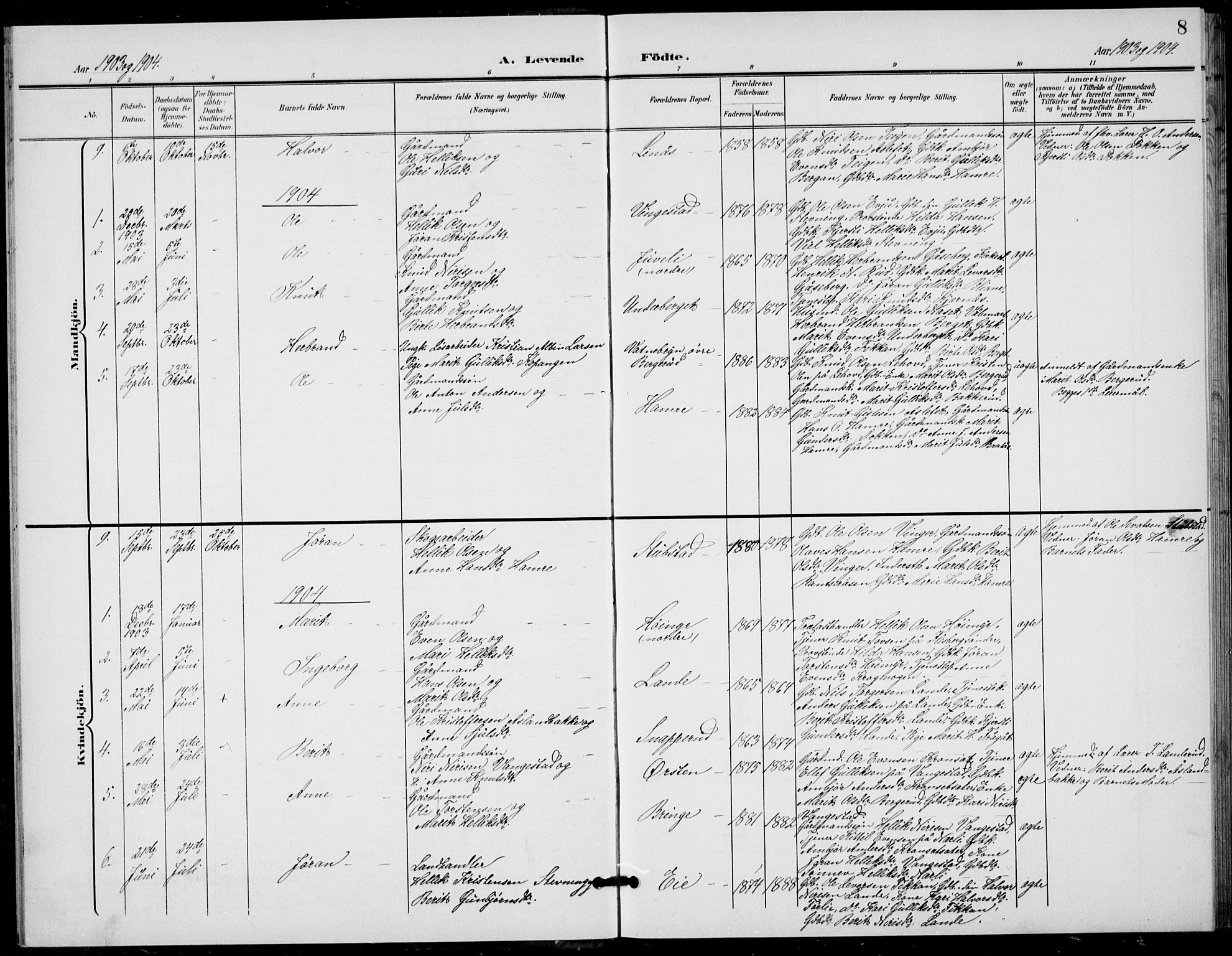 Flesberg kirkebøker, SAKO/A-18/G/Ga/L0005: Parish register (copy) no. I 5, 1899-1908, p. 8