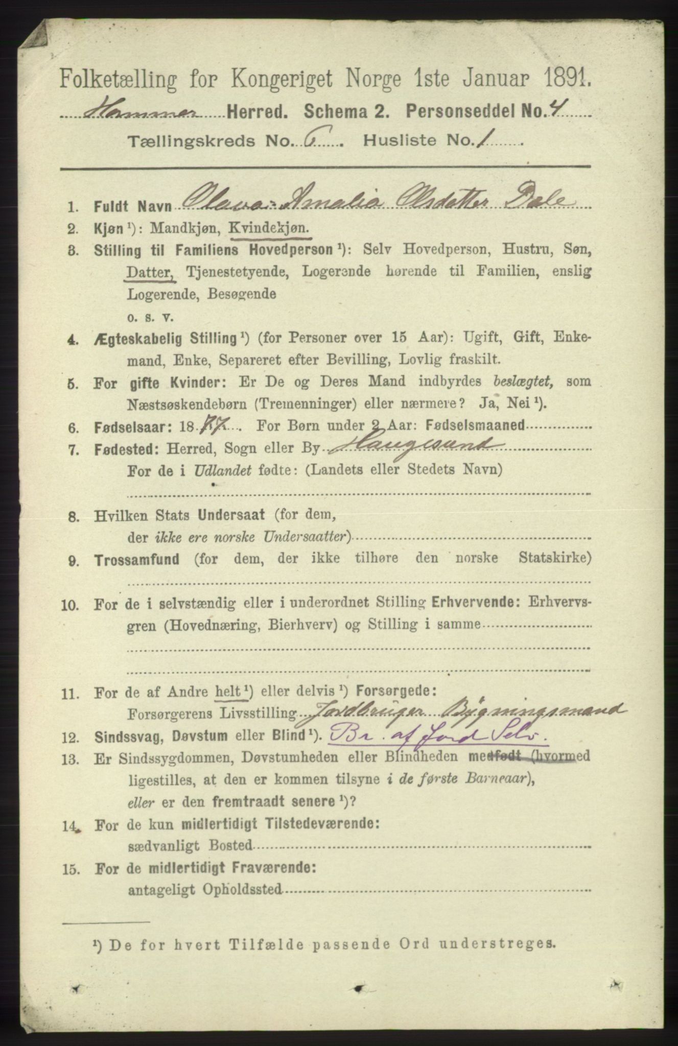 RA, 1891 census for 1254 Hamre, 1891, p. 1541