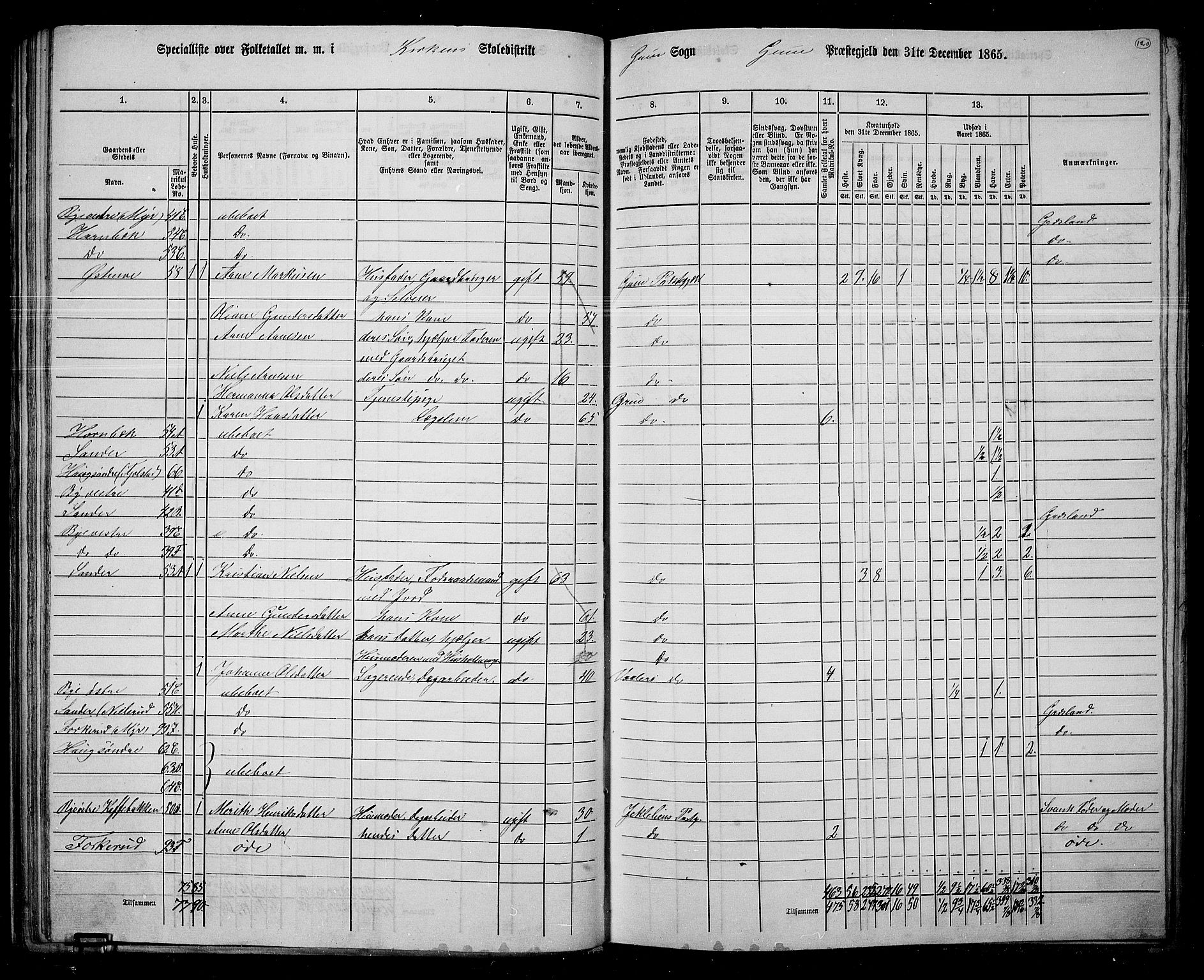 RA, 1865 census for Grue, 1865, p. 104